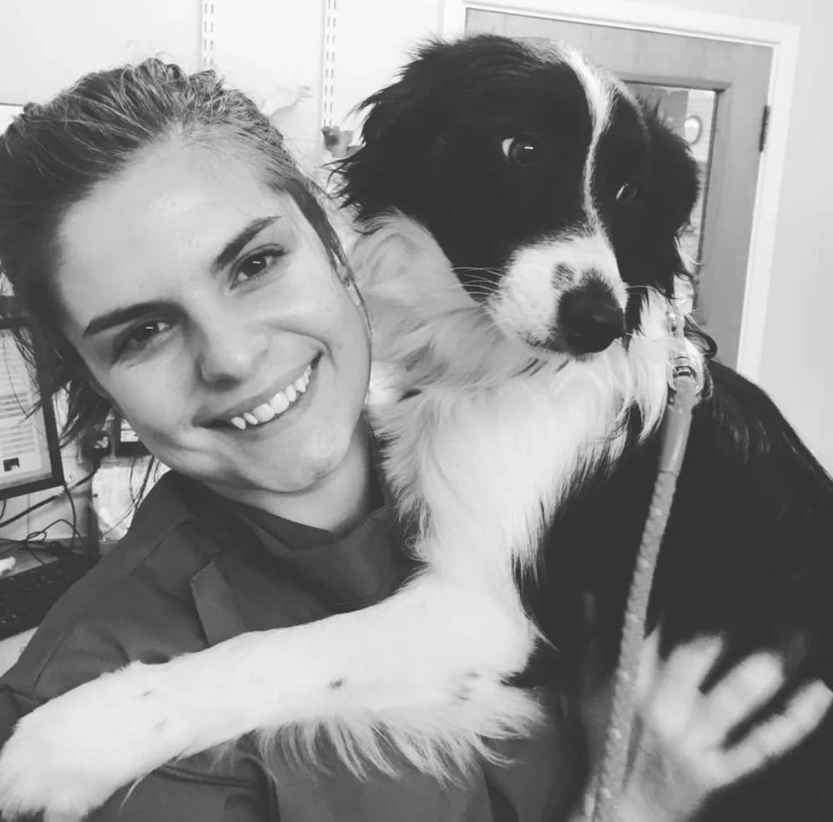 Canine Hydrotherapist, Canine hydrotherapy, dog swimming, dog hydrotherapy, dog rehabilitation, veterinary physiotherapy, veterinary acupuncture, pain clinic, chronic pain management.