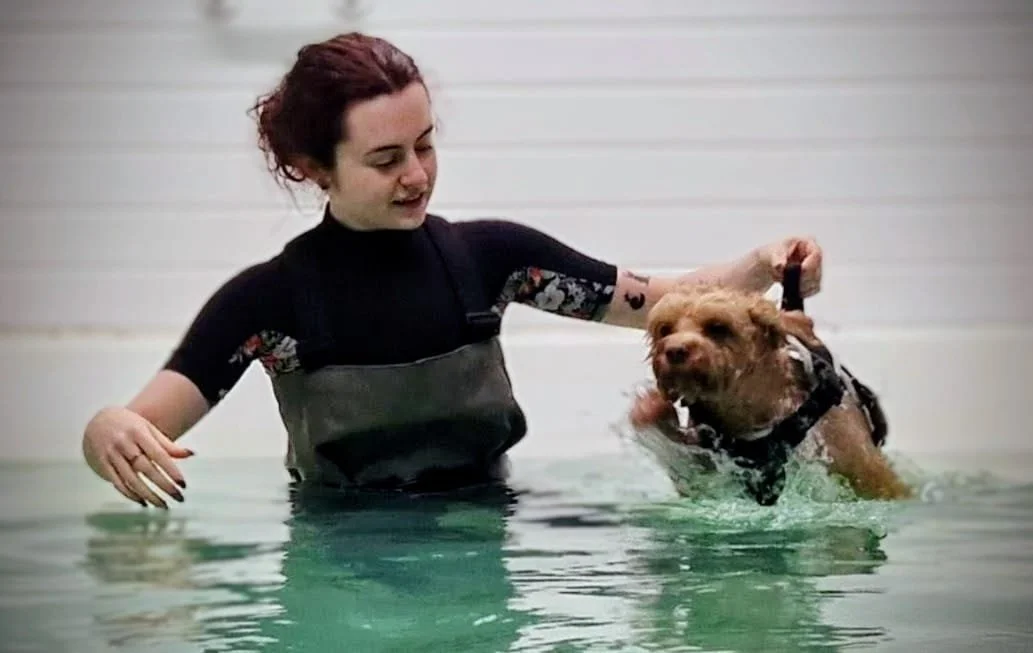 A young woman with short dark hair is in a pool holding a brown dog with a harness, helping it swim at Hydrohounds Canine Hydrotherapy & wellness centre