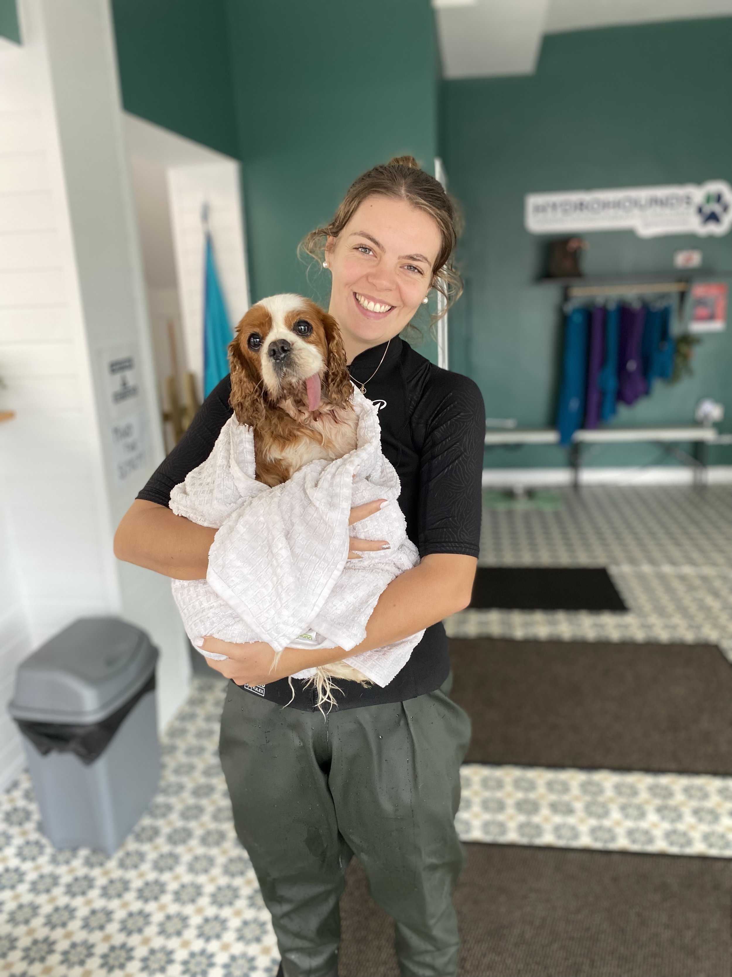 In a dog hydrotherapy & veterinary physiotherapy facility.