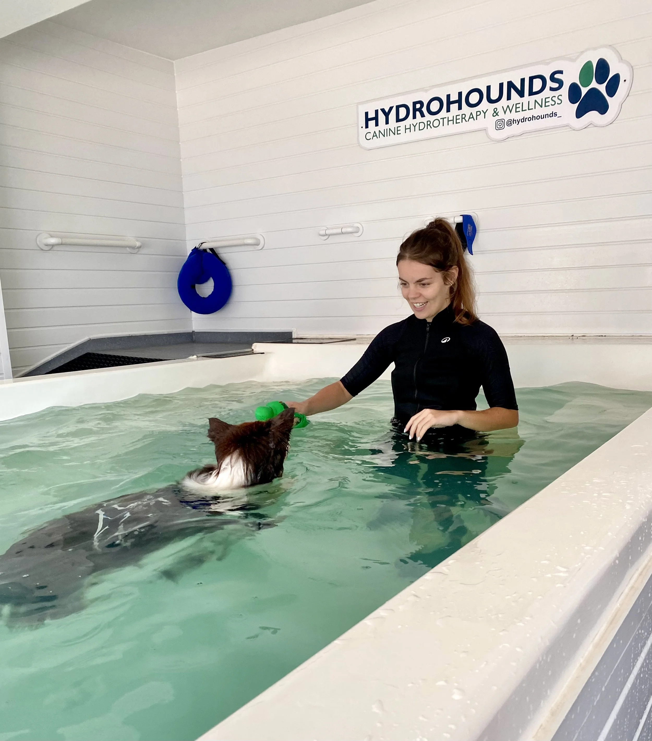 A woman doing canine hydrotherapy with her dog in a therapy pool at HydroHounds, a canine hydrotherapy and wellness center.