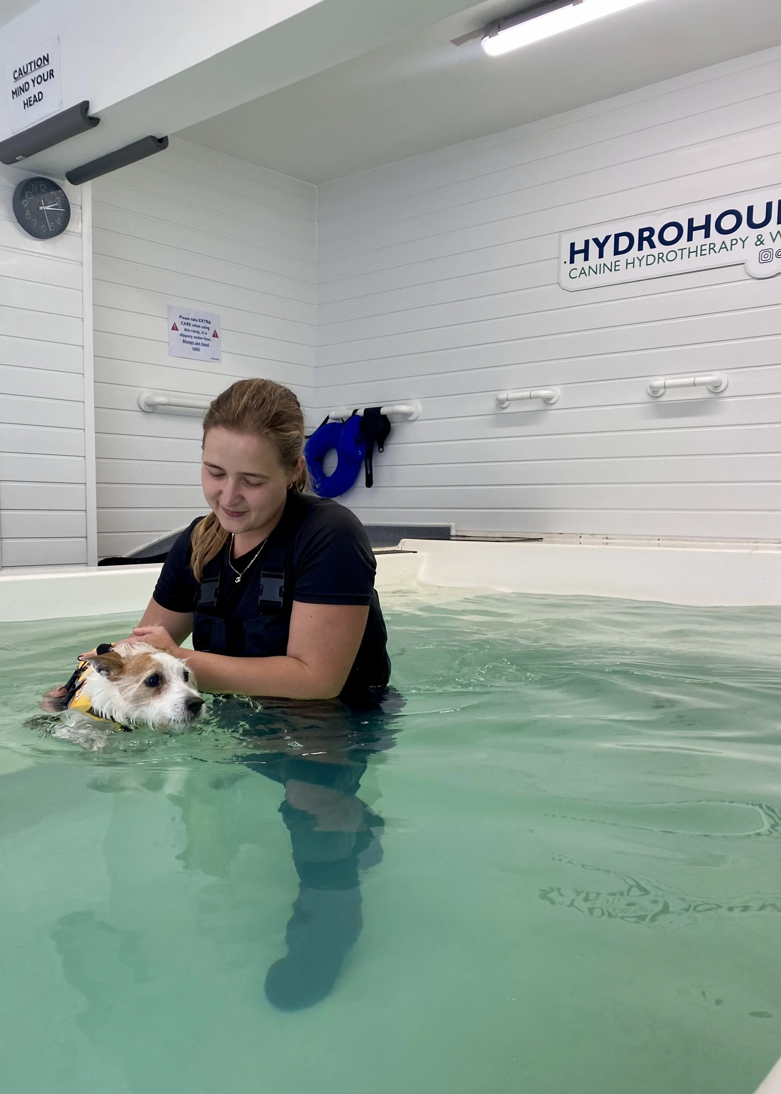 Woman conducting canine hydrotherapy treatment