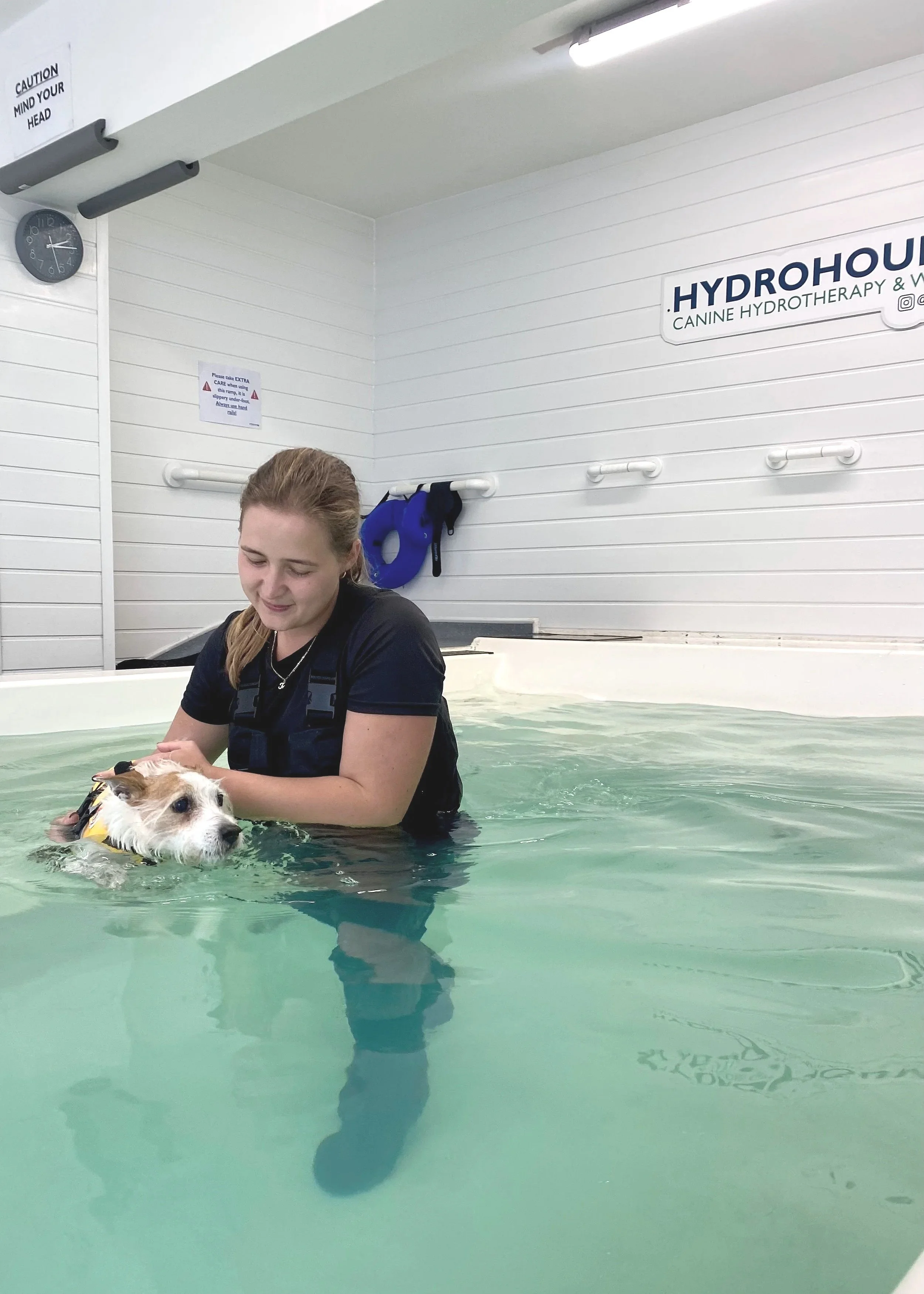 DOG HYDROTHERAPY IN CANINE HYDROTHERAPY POOL, STOCKPORT