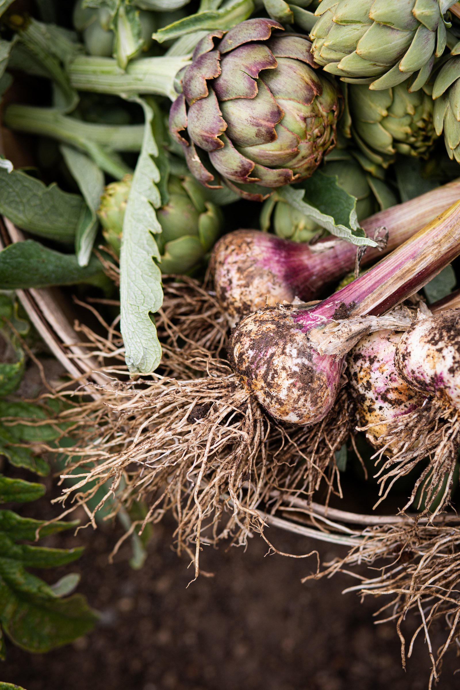 Annie in Garden053.jpg