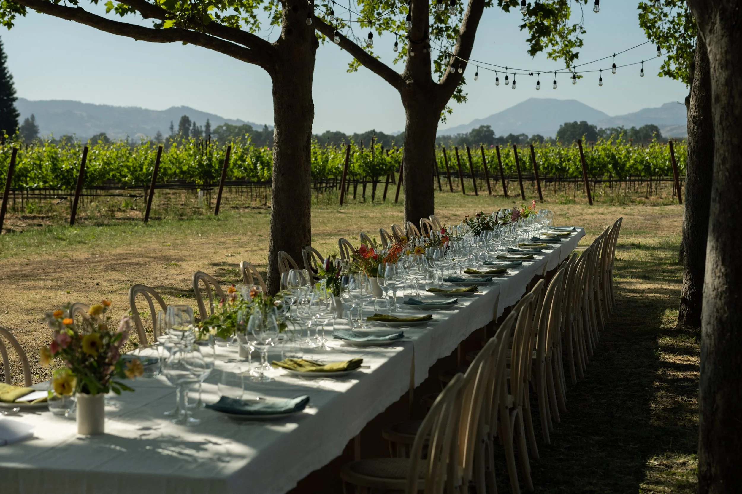 Favia_table-3.jpg