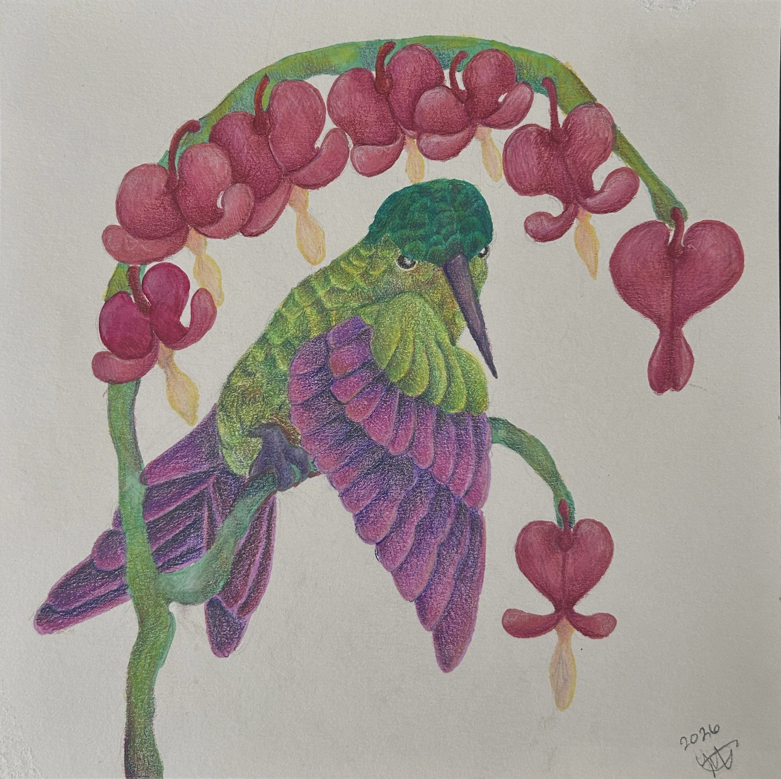 hummingbird-mixed media.jpg