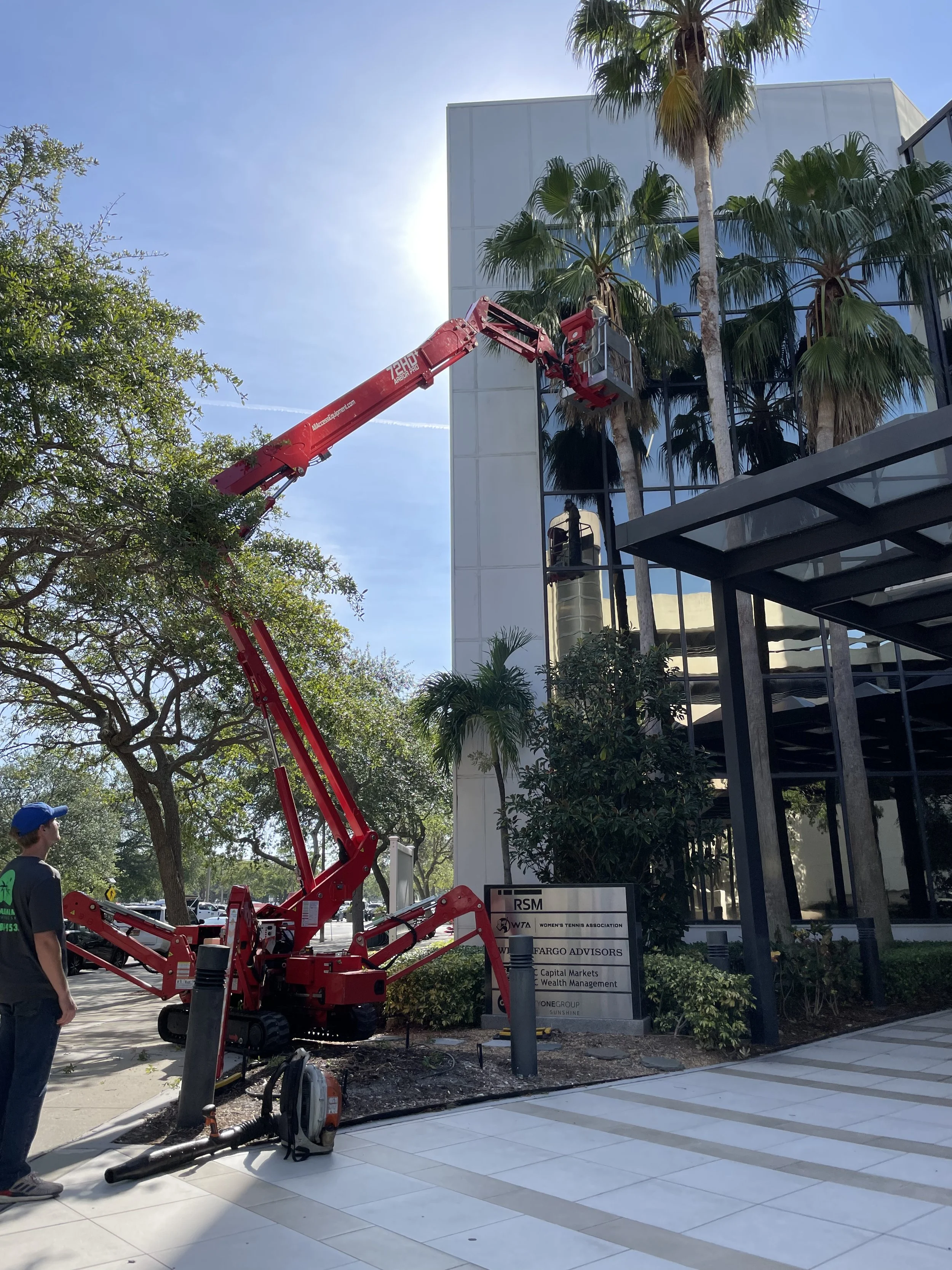 Palm Tree Trimming Machine