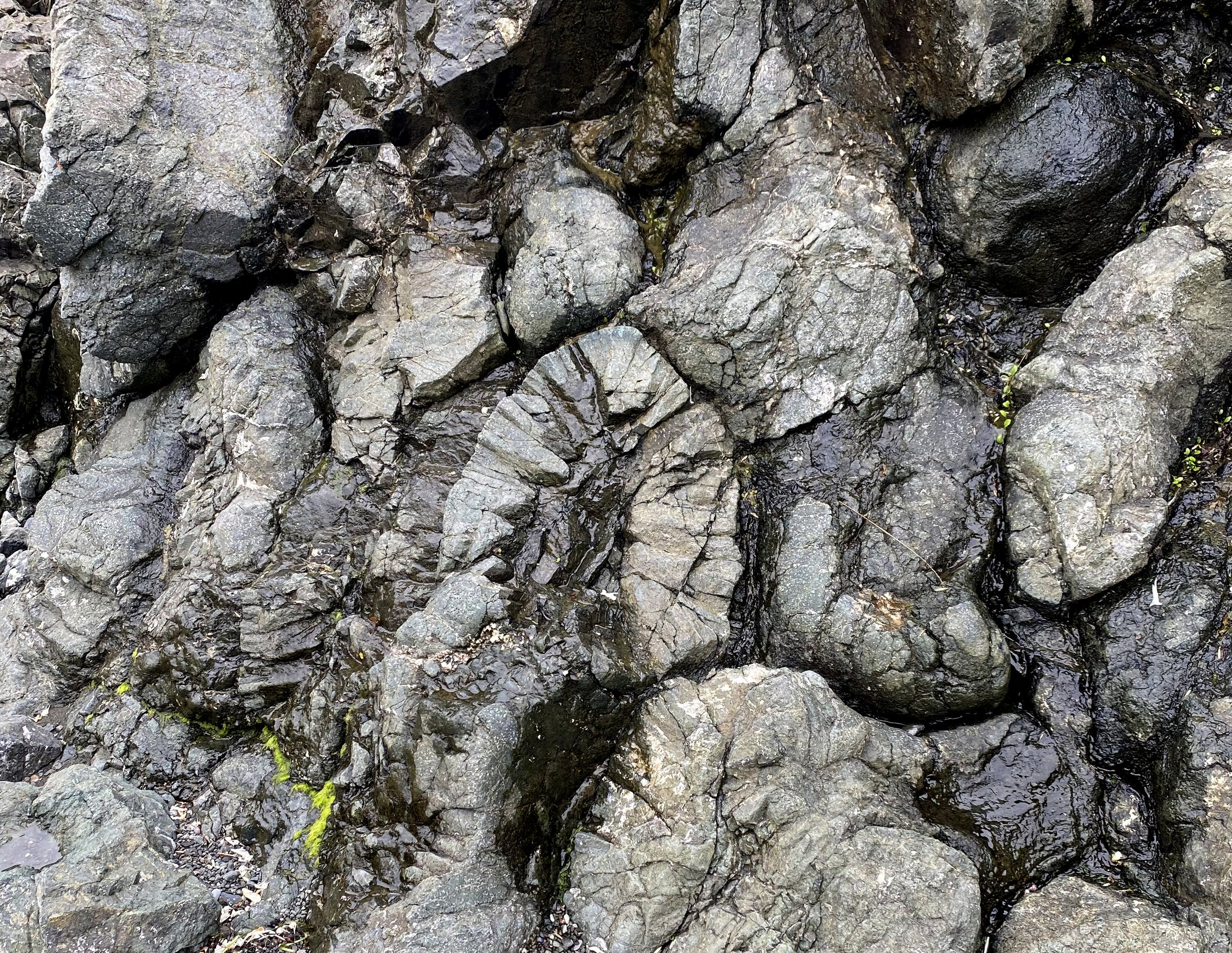 Pillow Lava Little Port by Paul Wylezol