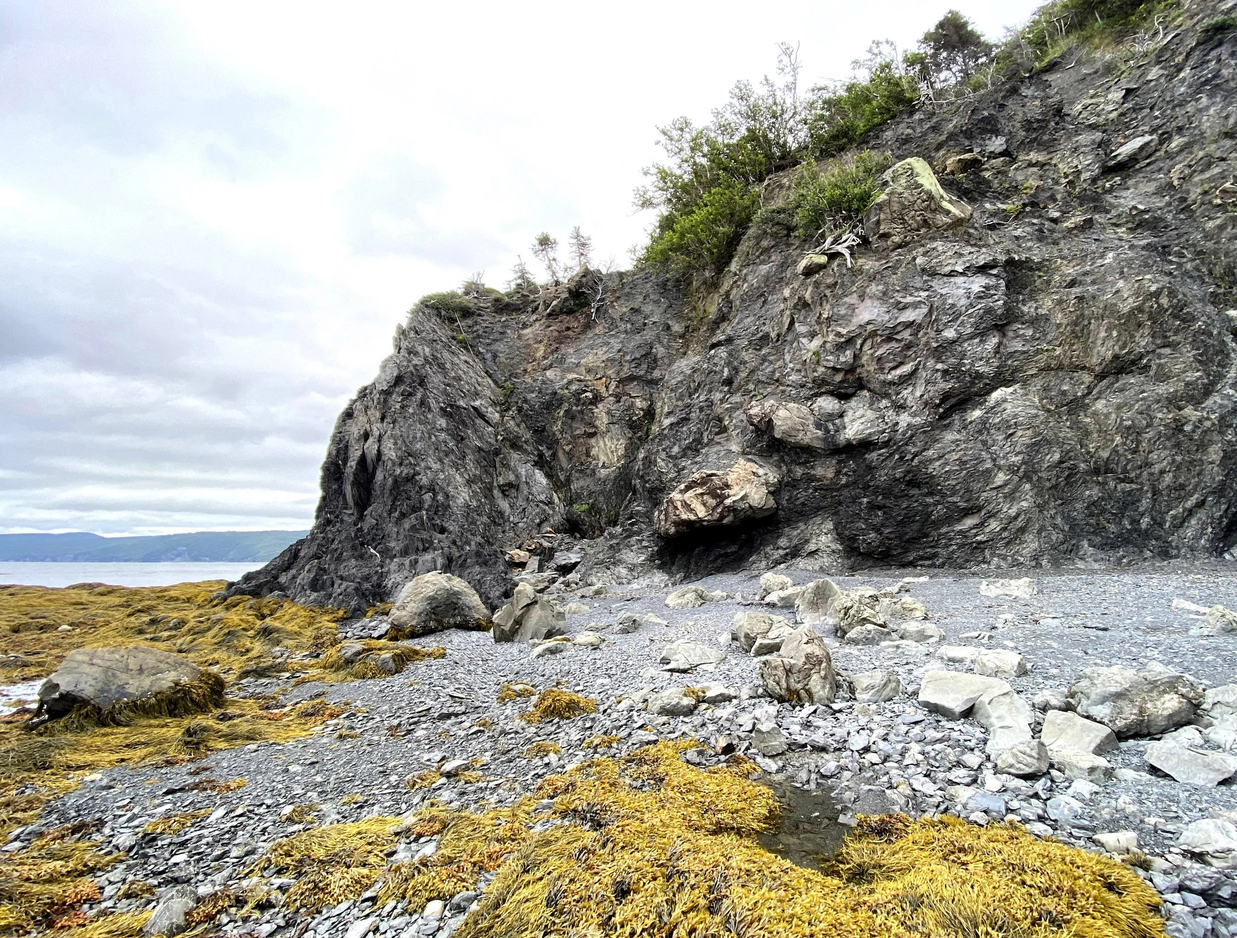 Mélange Frenchmans Cove by Paul Wylezol