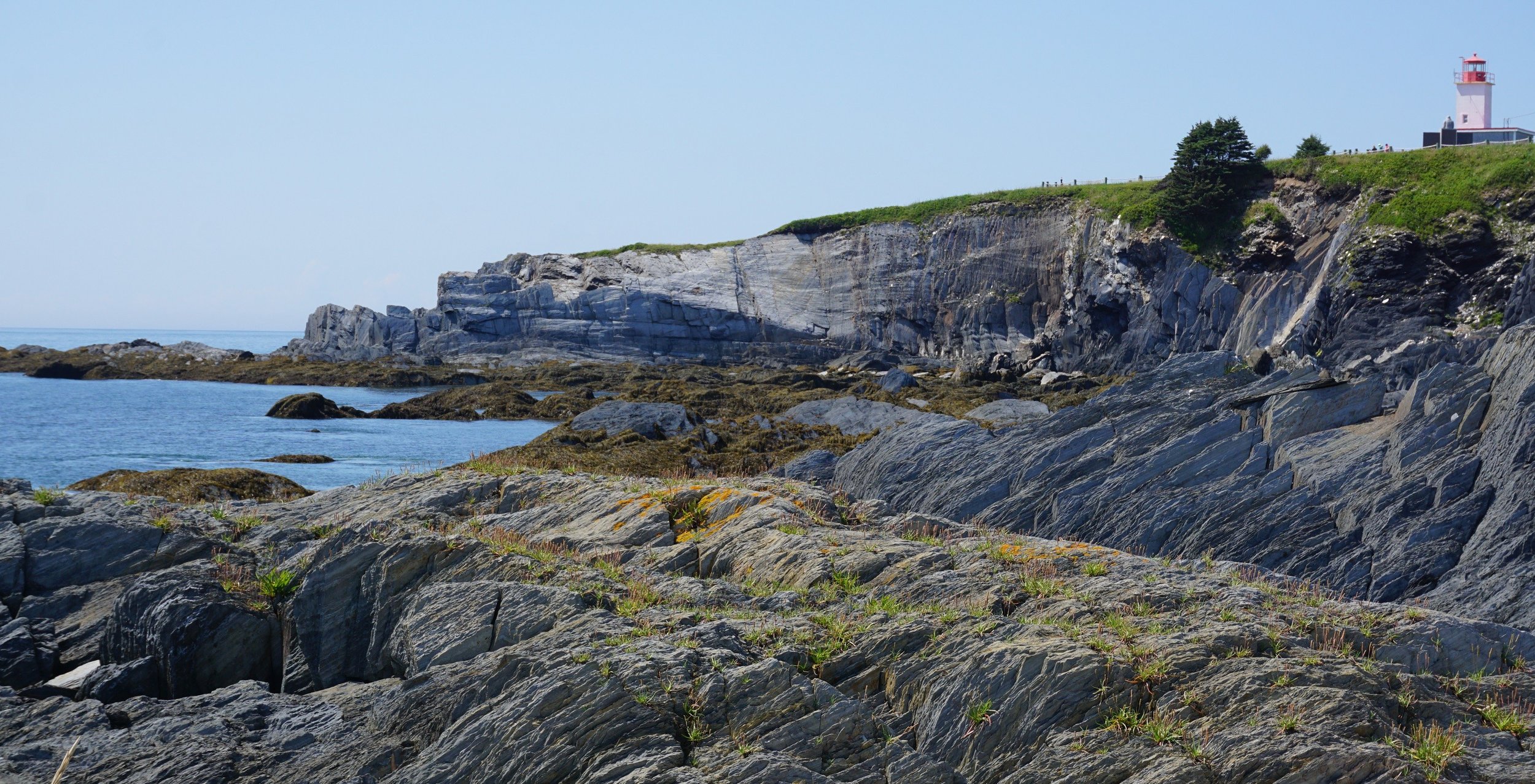 These interbedded slates and metasiltstones are in westernmost Nova Scotia at Cape St. Marys. They are part of the late Cambrian Halifax Group, deposited by turbidity currents on the continental slope and ocean floor of the Rheic Ocean.