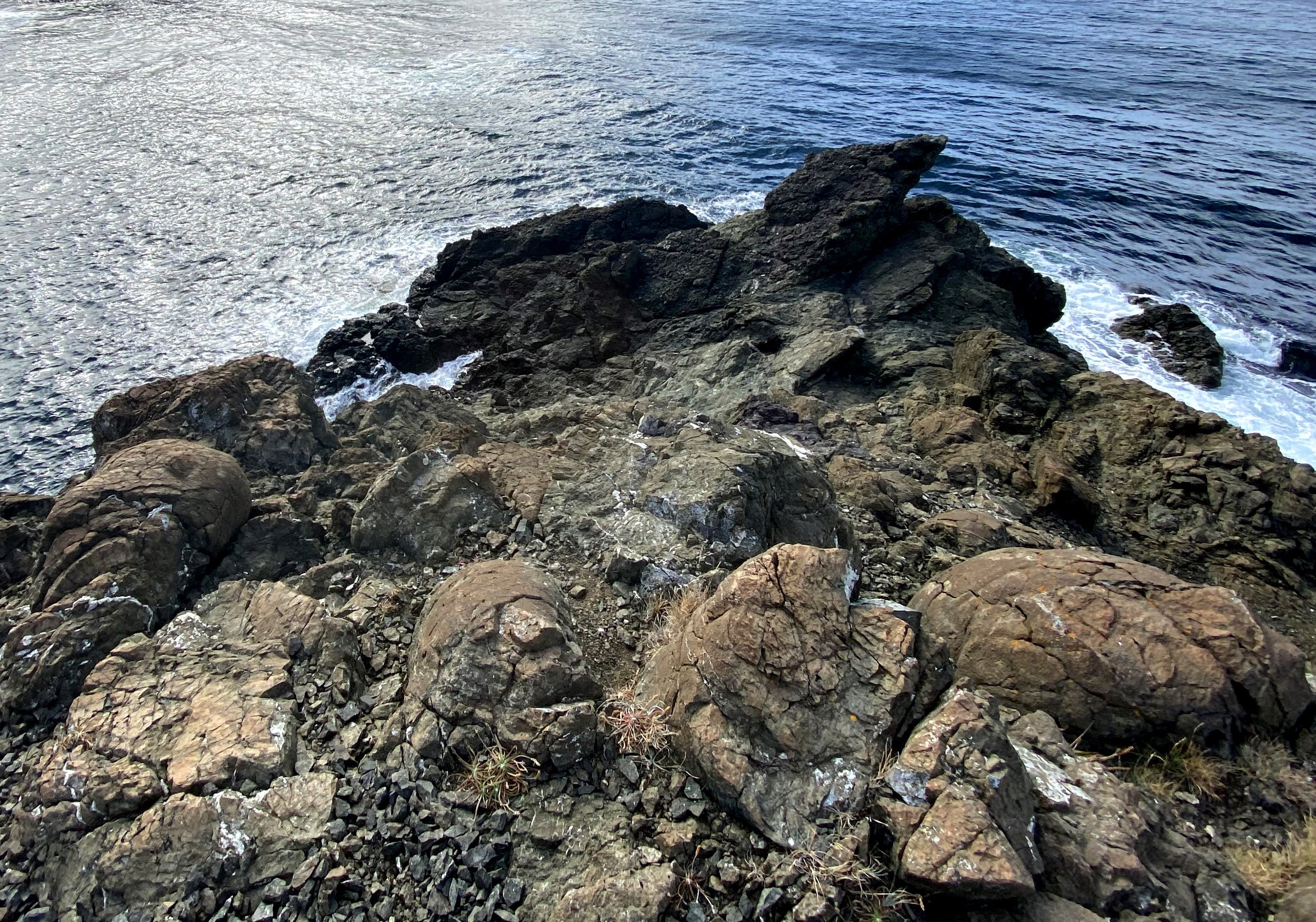 Pillow Lava Bottle Cove by Paul Wylezol