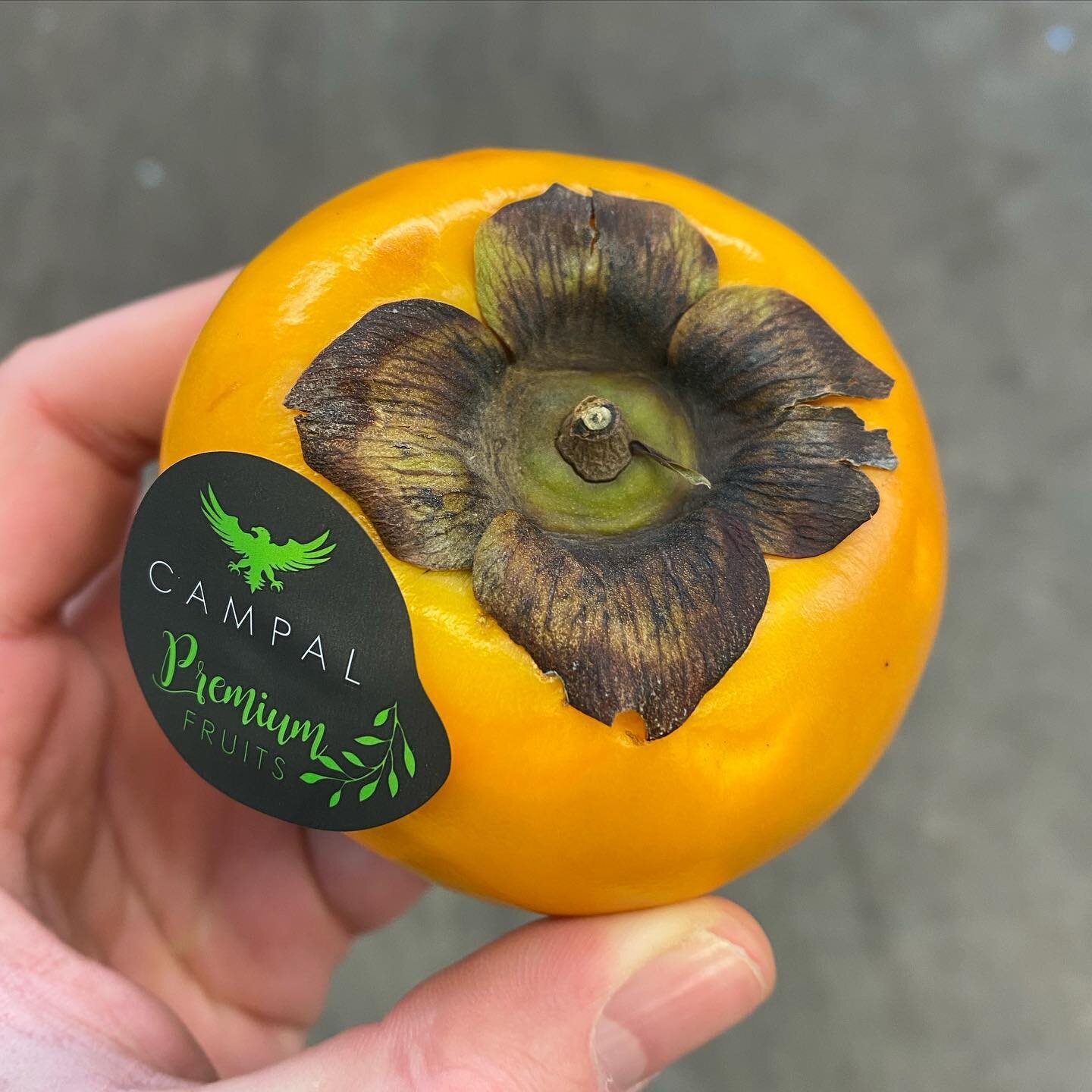 New Season Brazilian Kaki fruit back in stock. 

A soft, sweet flesh with a smooth skin. Kaki are part of the Persimmon fruit family along with Sharon fruit. 
The name Sharon fruit is technically specific to the Israeli variety of Persimmon. These Br