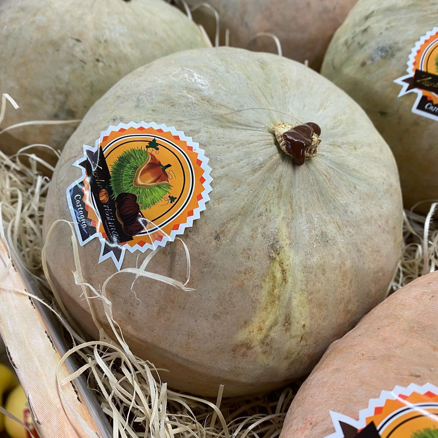 Something different this week, Fresh &ldquo;Chestnut&rdquo; squash straight from Italy. Always something different here at French Garden 😍

#frenchfood #finefood #finefoods #londonfinedining #finedininglondon #londonrestaurants #londonrestaurant #lo