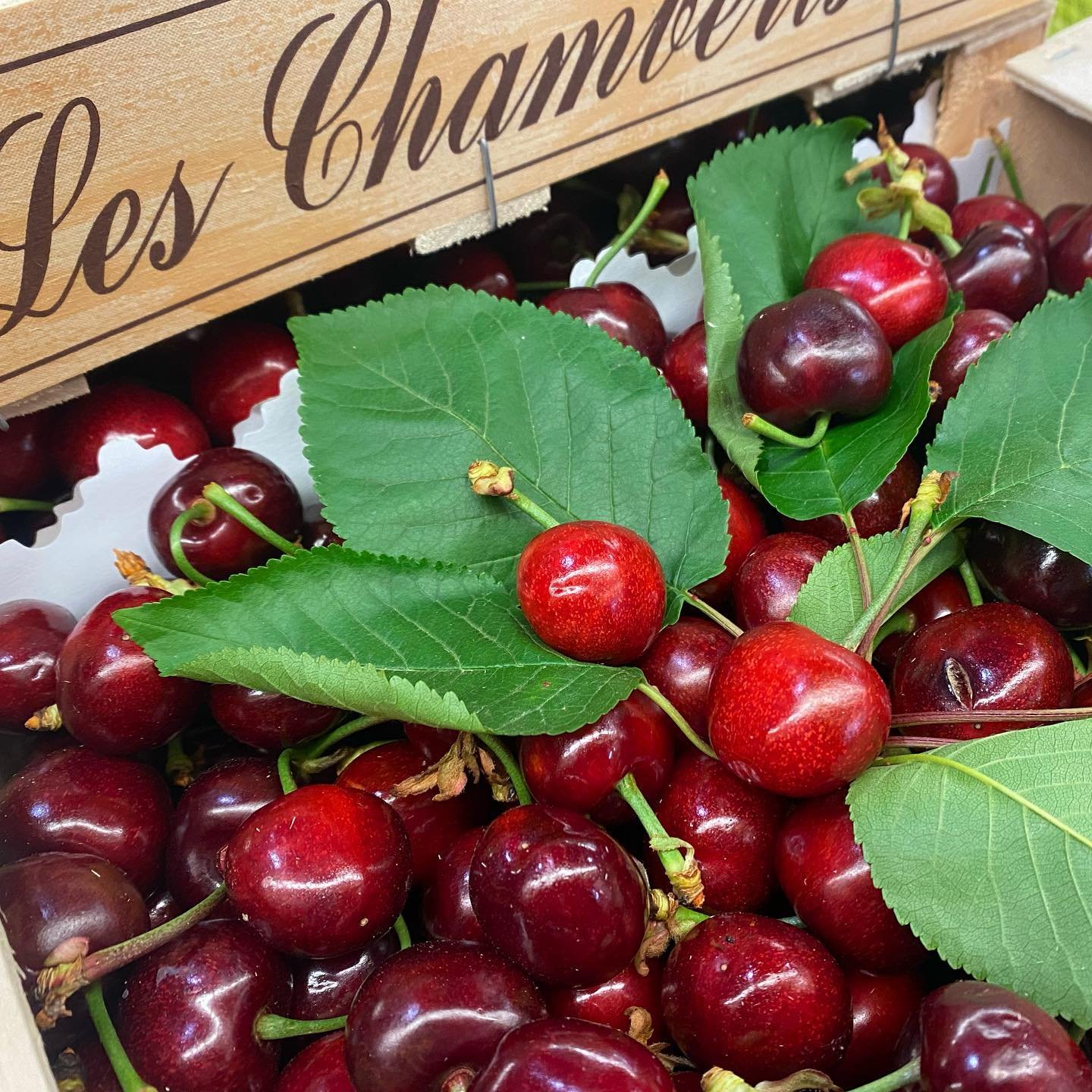 French Cherries are here looking amazing and bursting with flavour. Only the best here at French Garden 🇫🇷🇬🇧

#instafood #instafoodie #frenchfood #frenchfoodporn #michelinstar #rungis #lemarch&eacute; #fgb #frenchchef #greengrocer #greengrocers #