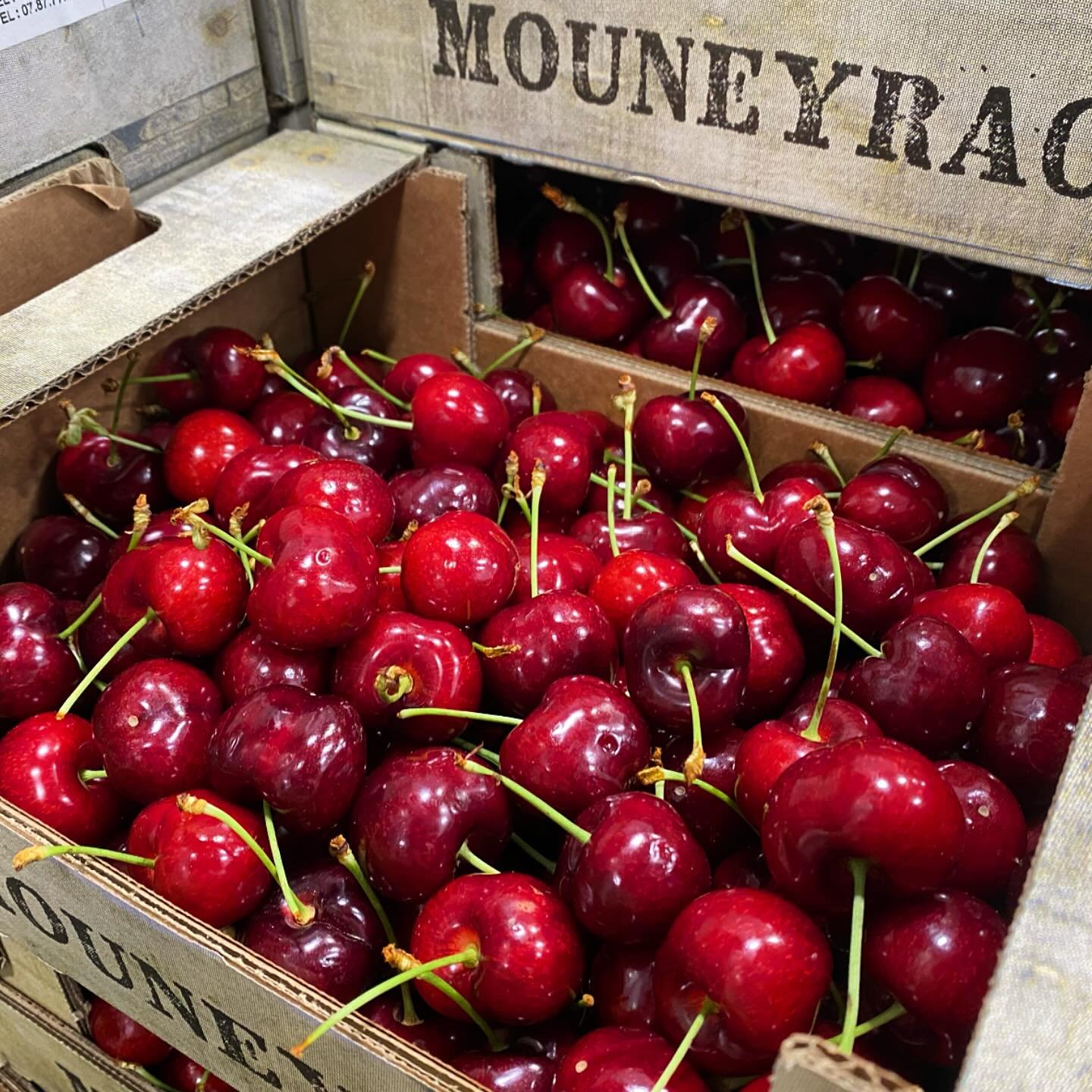 Incredible &lsquo;Belise&rsquo; Cherries fresh from France. Visually beautiful and amazing flavour. Only the best here at The French Garden.

#finefoods #londonfinedining #londonfoodguide #londonchef #londonchefs #instafood #instachef #instachefs #lo