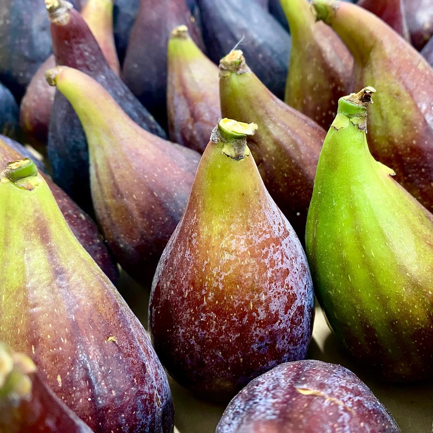 Proper French Black Figs. Plump and rich in flavour just how we like them. Only the best here at The French Garden.

#instafood #instafoodie #frenchfood #frenchfoodporn #michelinstar #rungis #lemarch&eacute; #fgb #frenchchef #greengrocer #greengrocer