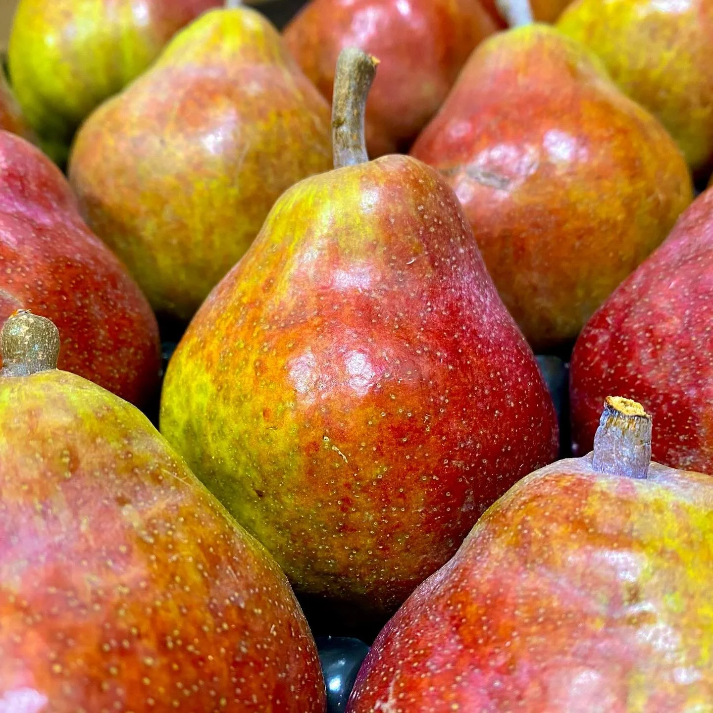 Some beautiful new produce back in stock. 

Crunchy, sweet new season French red William pears and Fragrant French black figs. 
some of the finest fruit the world has to offer. 

Only the best here at The French Garden. 

#frenchpear #instafood #food