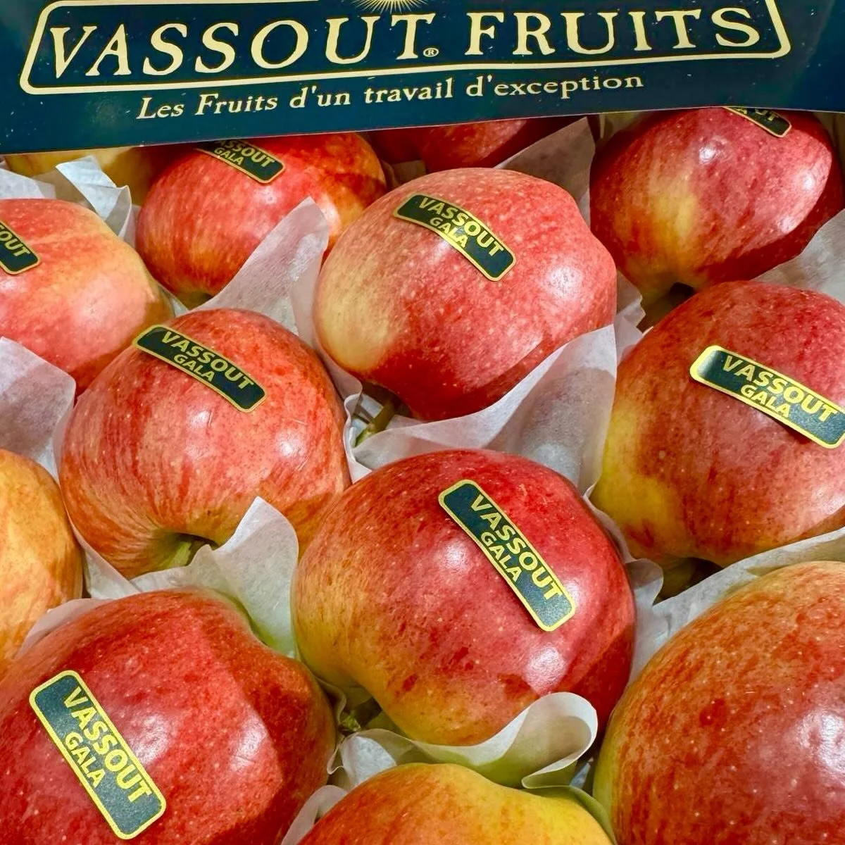 Beautiful new season Apples and Pears coming from Vassout. The finest select fruits available here at The French Garden. 🇫🇷🇬🇧🍎🍐

#frenchpear #instafood #foodphotography #londonrestaurants #londonrestaurant #londonrestaurantguide #londonfood #lo