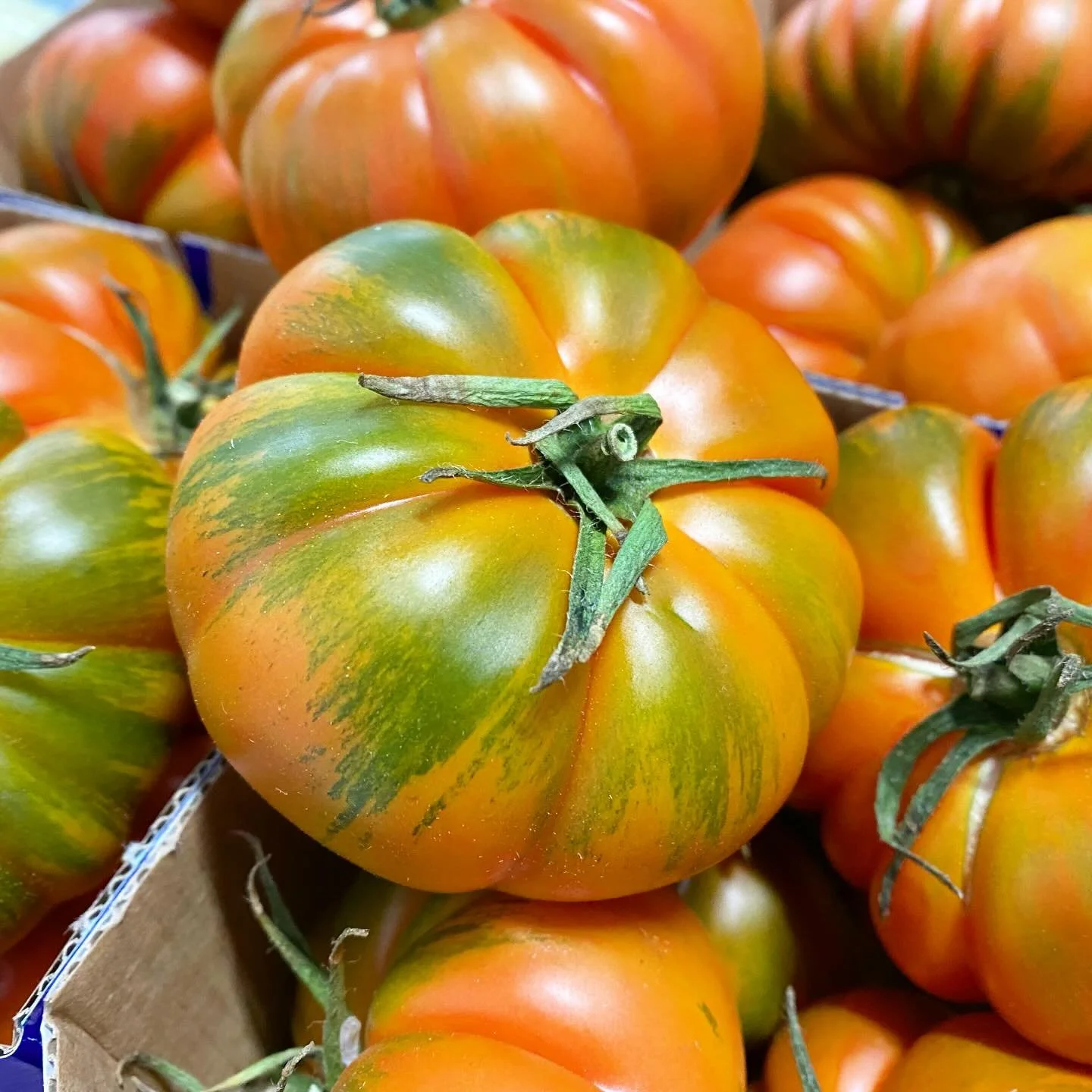 Fresh in from Italy!!!! 🇮🇹🇮🇹🇮🇹🇮🇹

Here at The French Garden we do not just specialise in French produce. We work closely with a range of growers and suppliers from all over the world, allowing for  deliveries directly from Italy and all over 