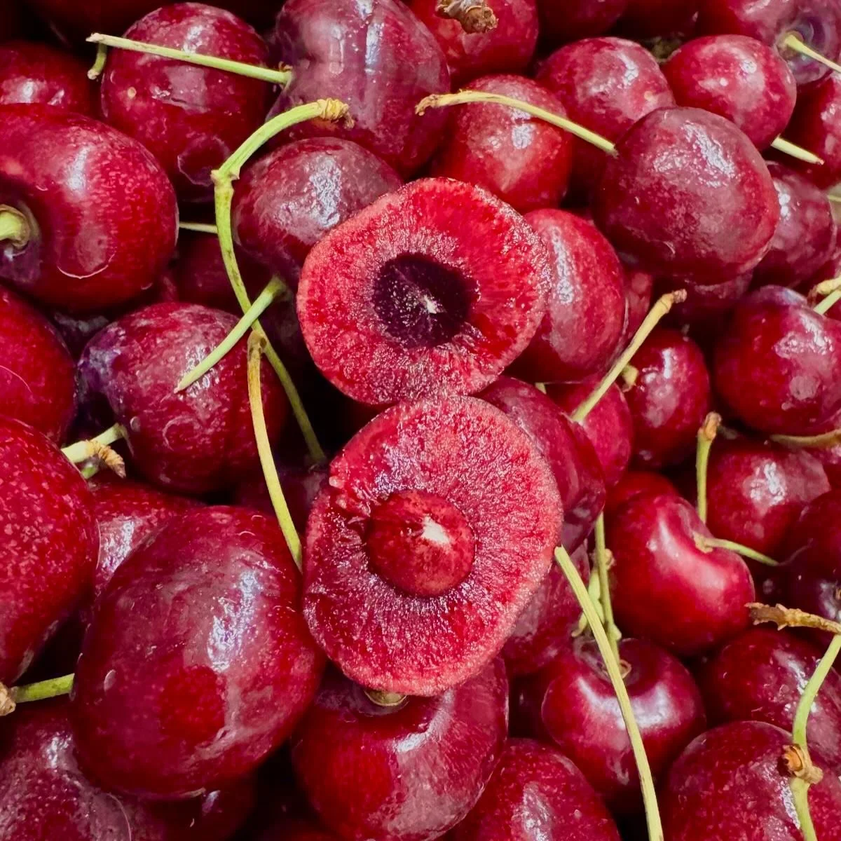Fresh Patagonian cherries; Famed for their sweetness and crisp texture. A delicious and rare late season treat this February.

Come and try them while you can here at the French Garden. 

#patagonia #cherry #freshcherry #londonfoodie #londoneats