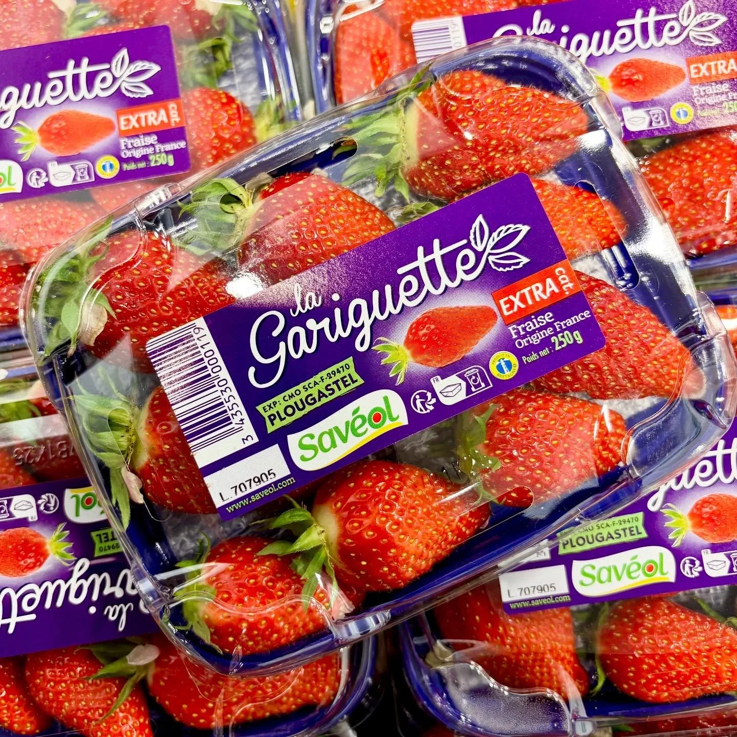 The first Saveol Gariguette Strawberry of the season coming a little later this year. 

Famous for their strong aroma, pronounced flavour and melt in the mouth texture, these are something special. 

Come try for yourself here at The French Garden. 

