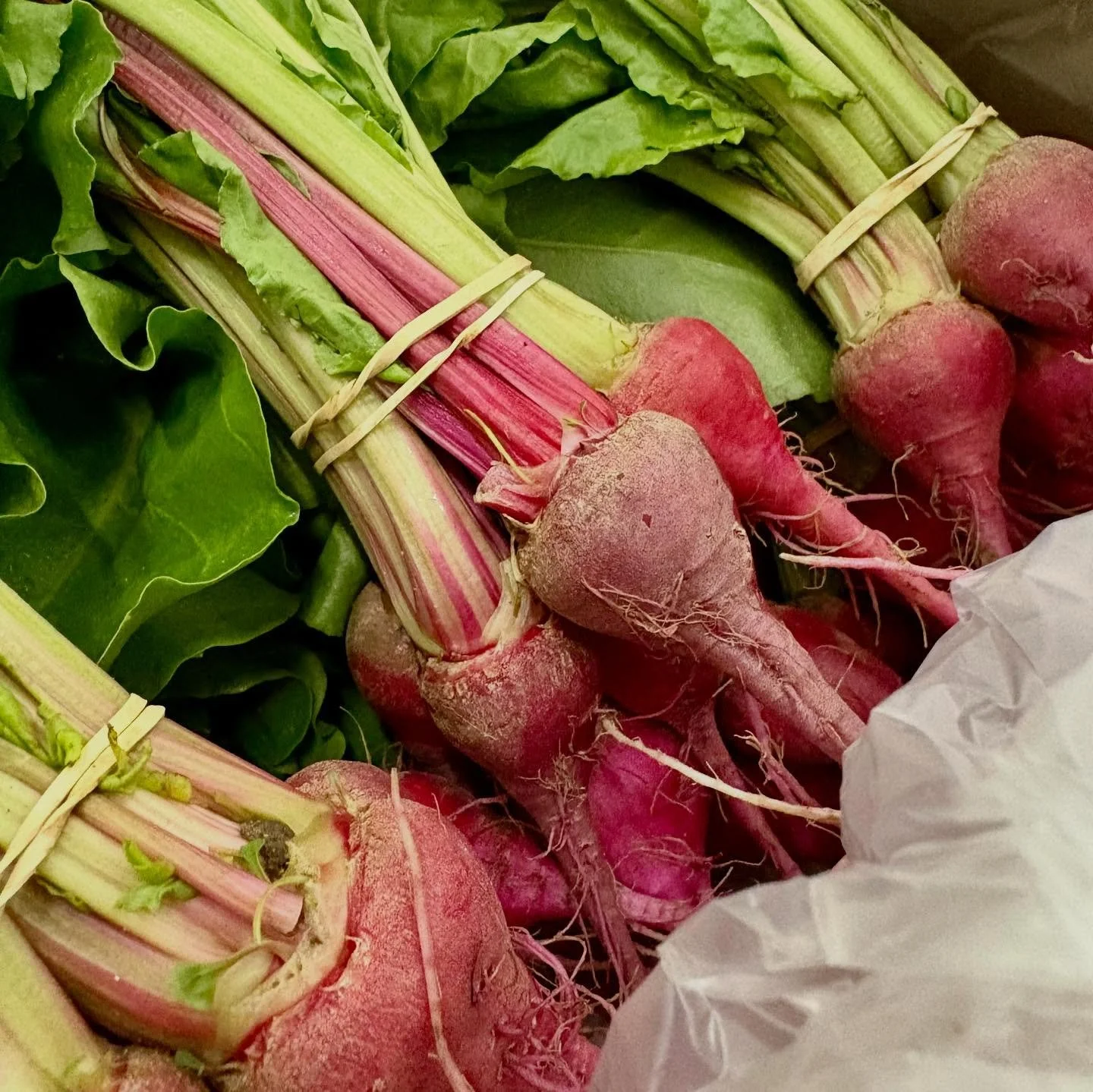 The best baby vegetables from our good friends at Remfresh. 

Famed for their freshness and unmatched quality. 
Another seasonal staple, only the best here at The French Garden. 

#londonchef #londonrestaurant #londoneats
