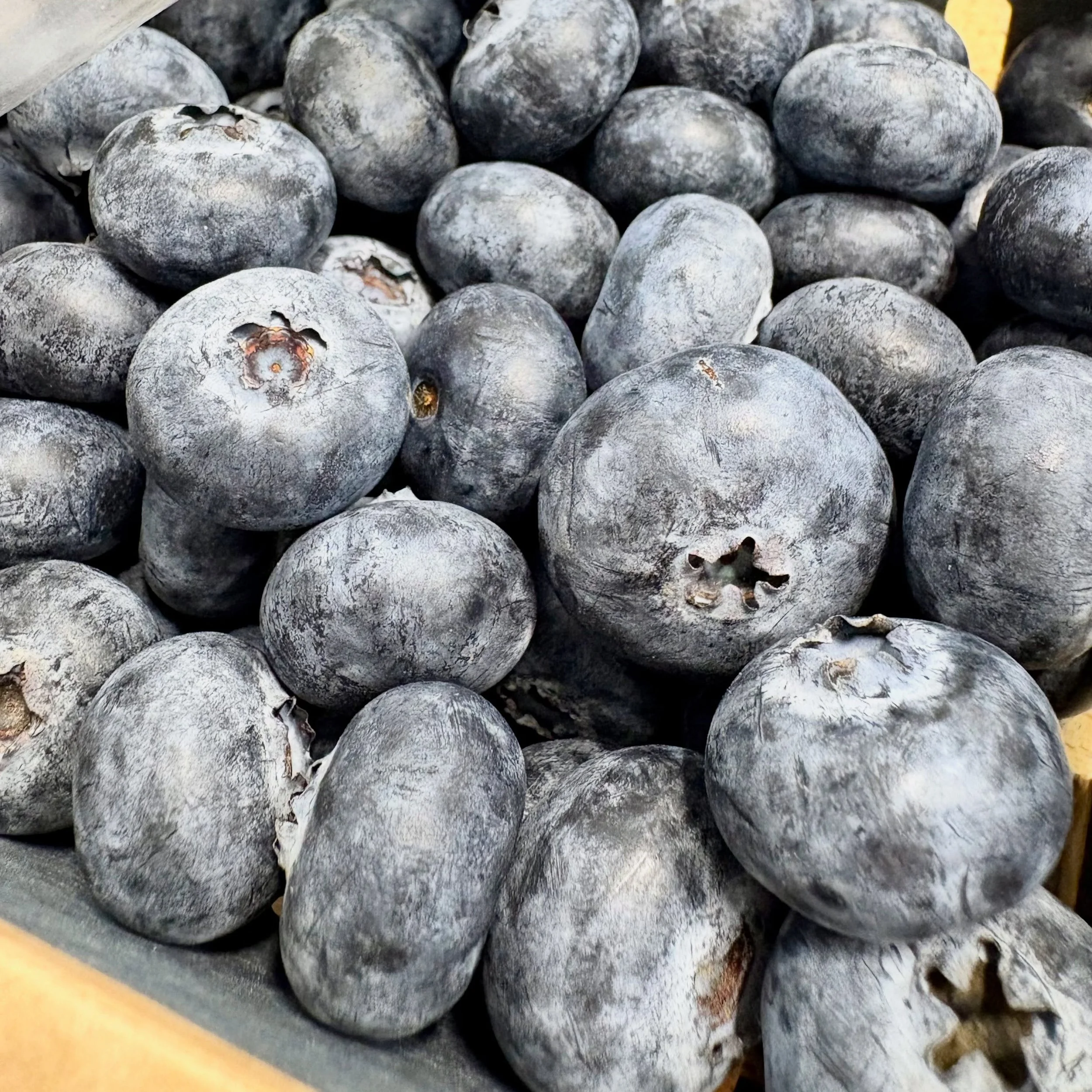Fresh in Driscolls sweetest batch blueberry. Bursting with intended flavour and antioxidants keeping you fresh and sweet this October. 

Only the best here at The French Garden