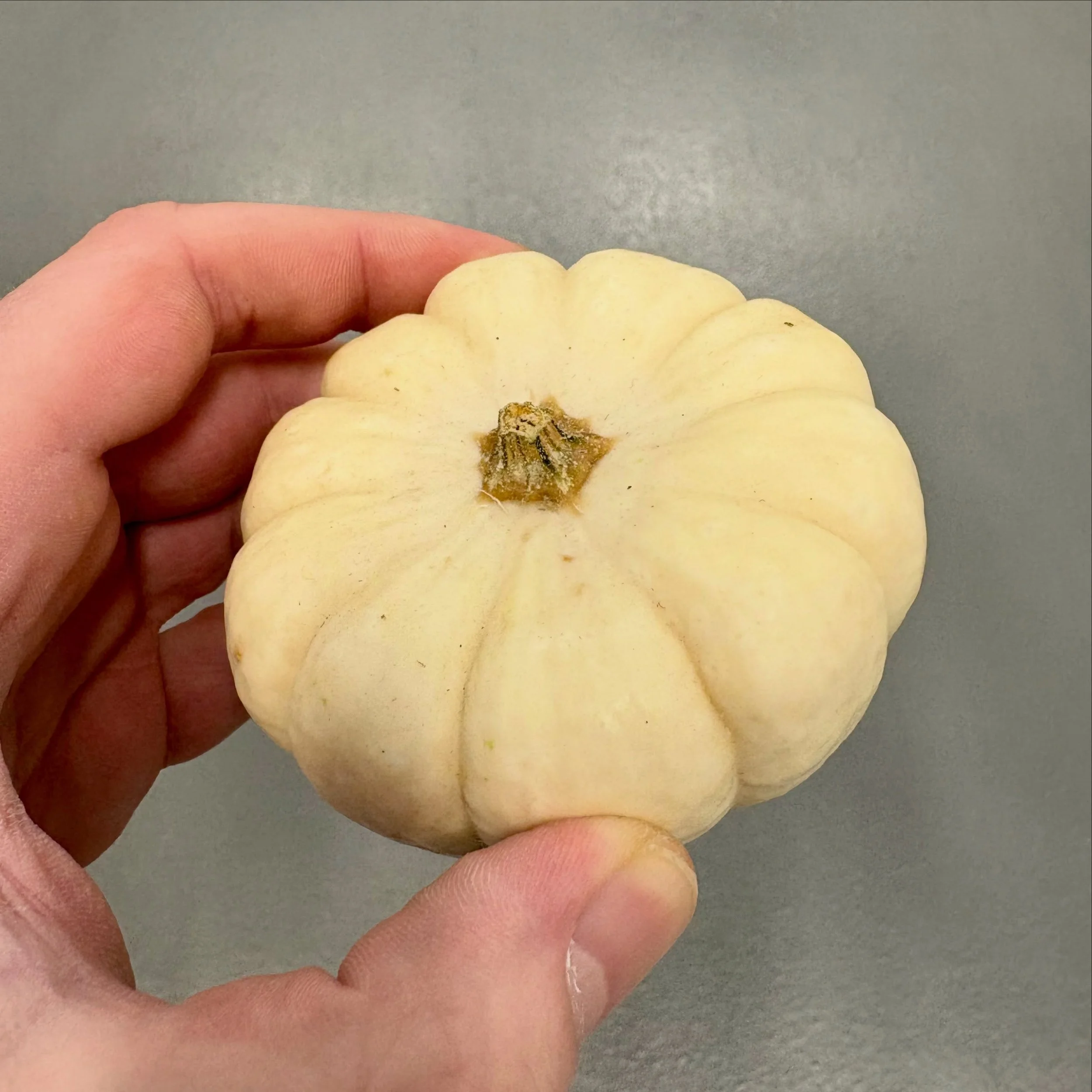 Some beautiful new Autumnal produce to start off October. Always something new here at The French Garden. 

#londonrestaurant #halloween #seasonalproduce #pumpkins