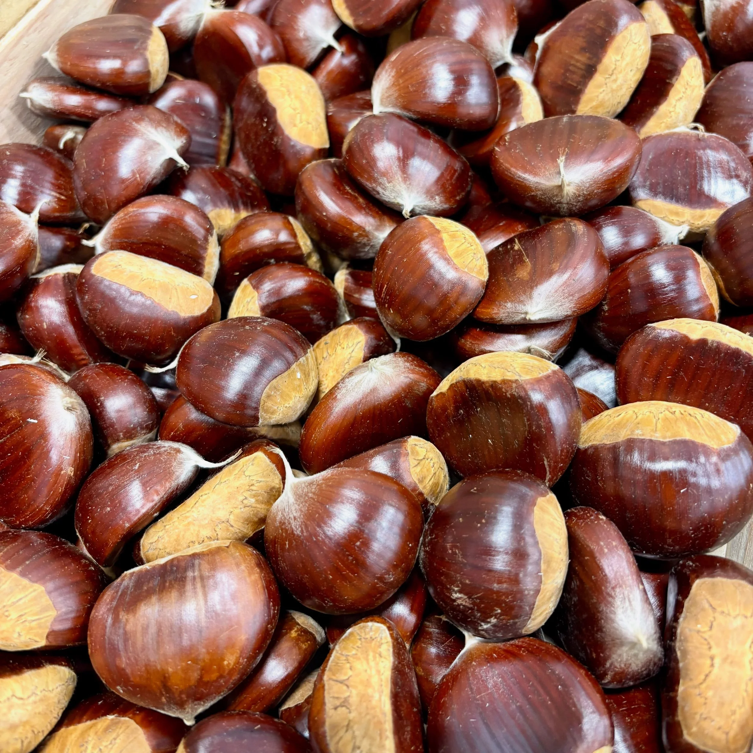 Autumn produce now in full swing with French Chestnuts, Walnuts, Quince and an incredible selection of wild mushroom from across Europe. 

The finest seasonal produce always to be found here at The French Garden 

#londonfoodie #londonfood #michelins