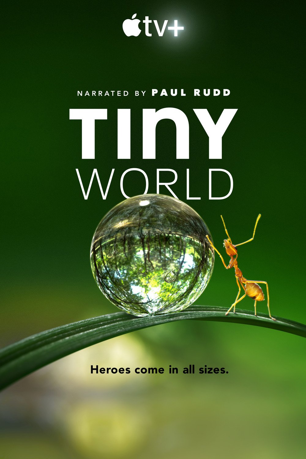 halo-high-speed-phantom-FLEX4K-camera-supplier-projects-tiny-world.jpg
