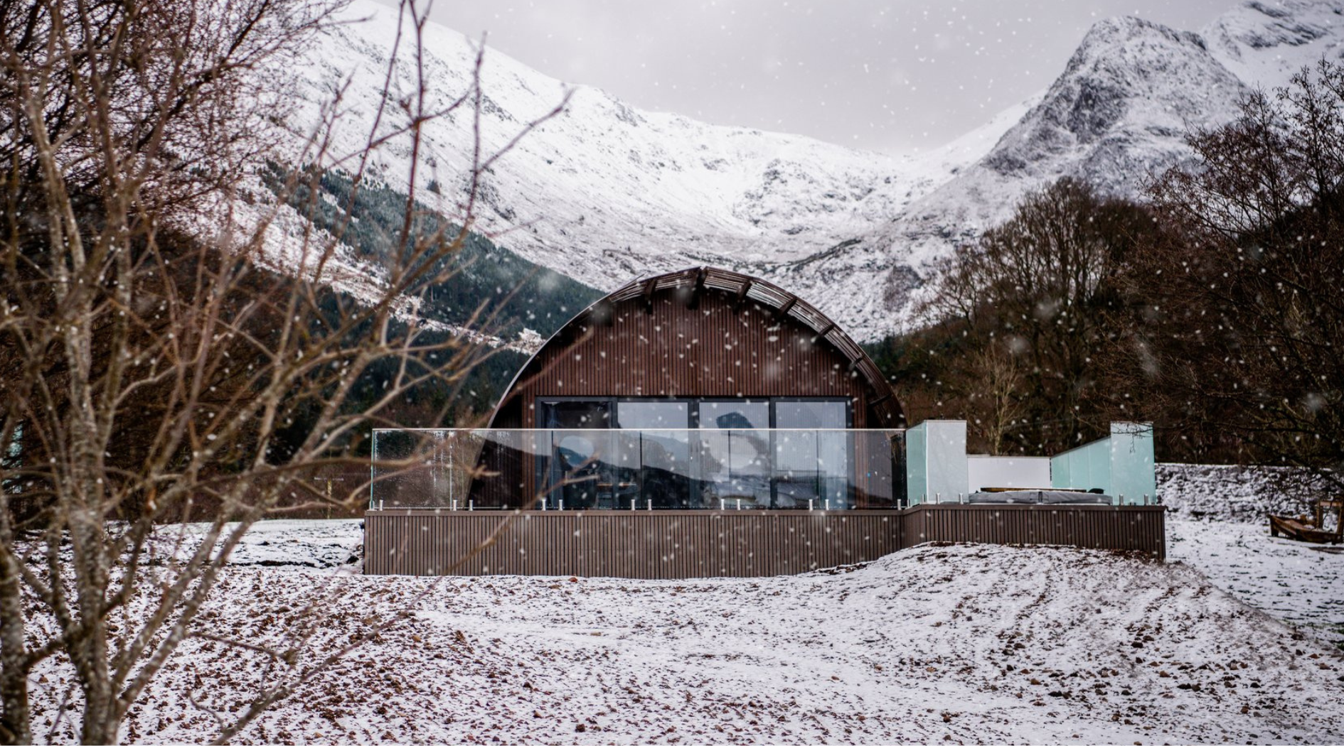 Armadilla winter newsletter.