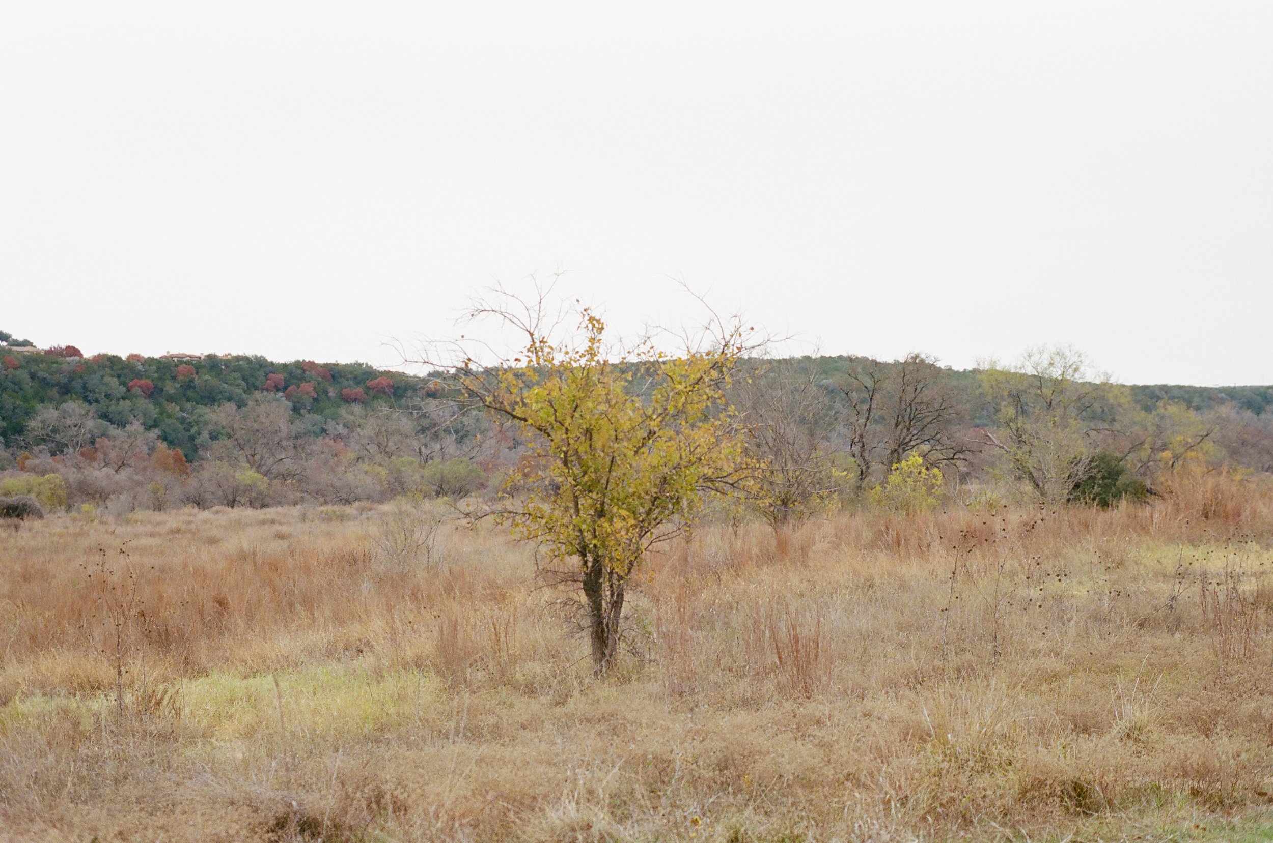 000076730031 copy.jpg