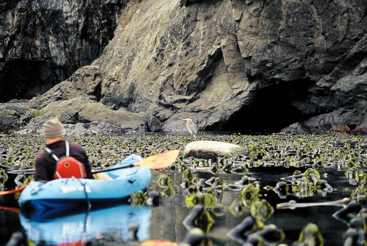 kayak-mendocino-004.jpg