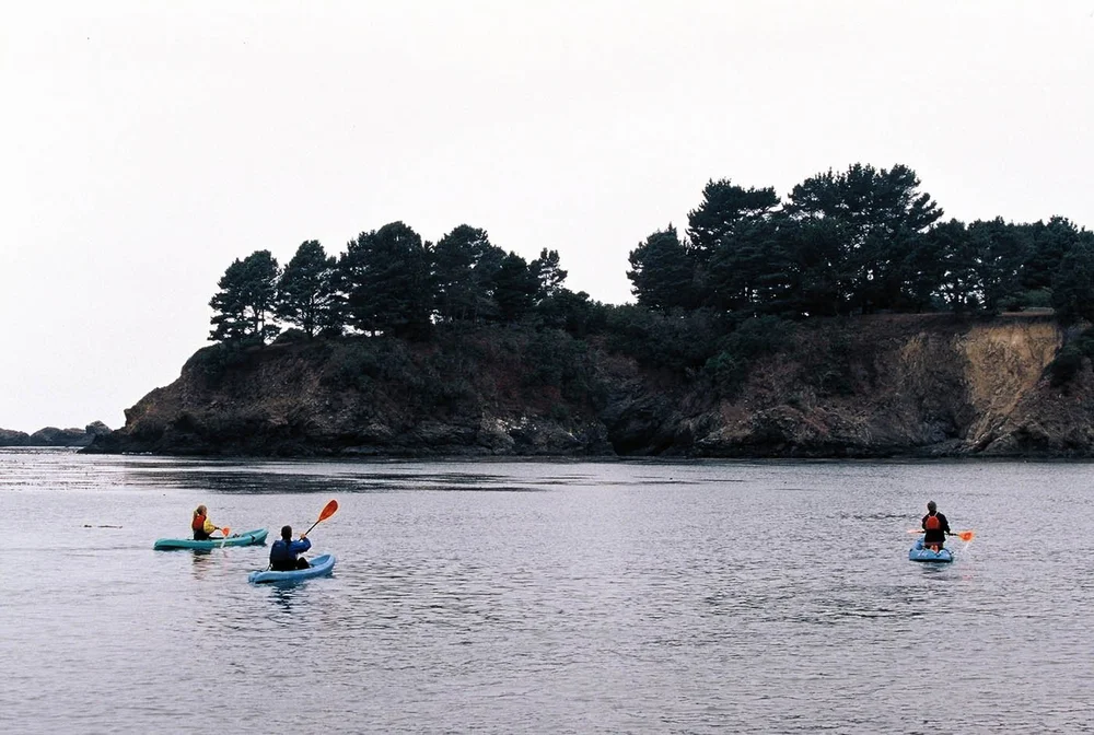 Kayak Mendocino Kayak nature tours on the Mendocino Coast