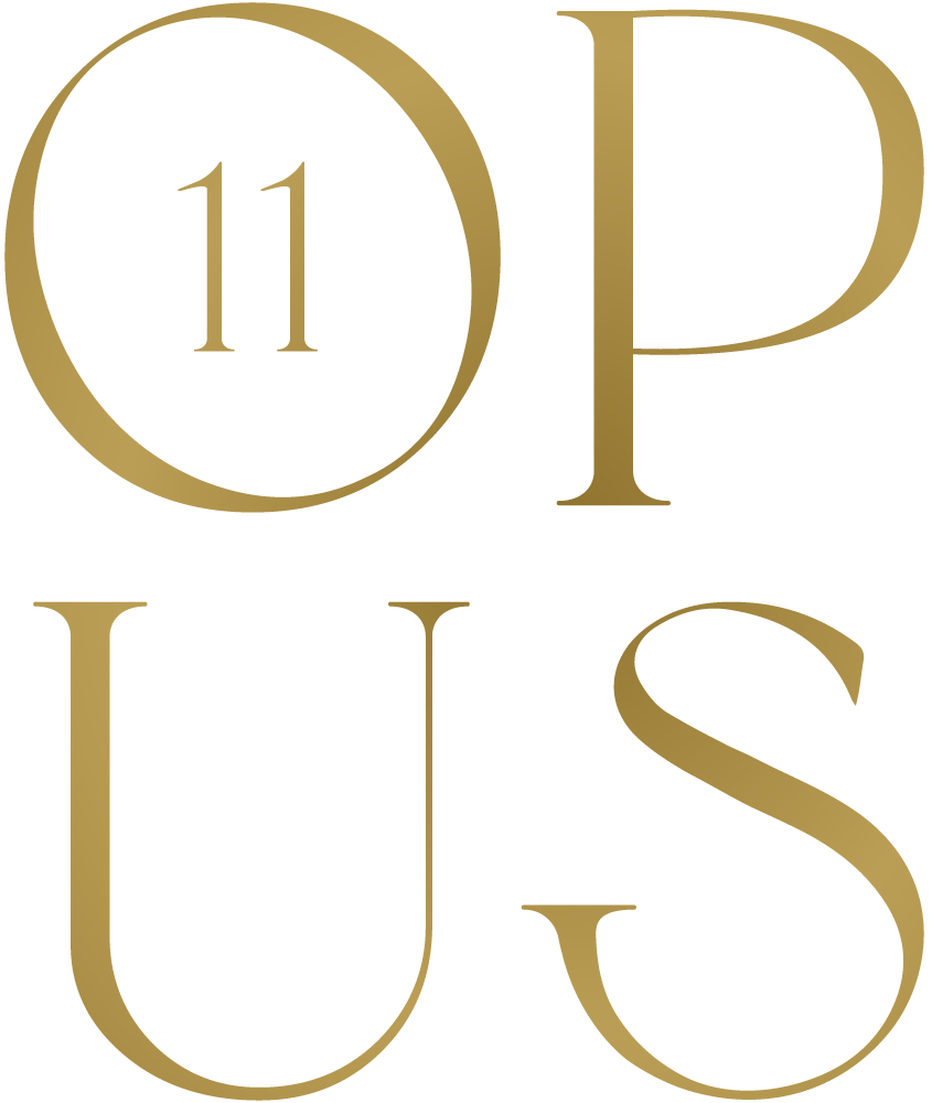 Opus 11 gallery 1