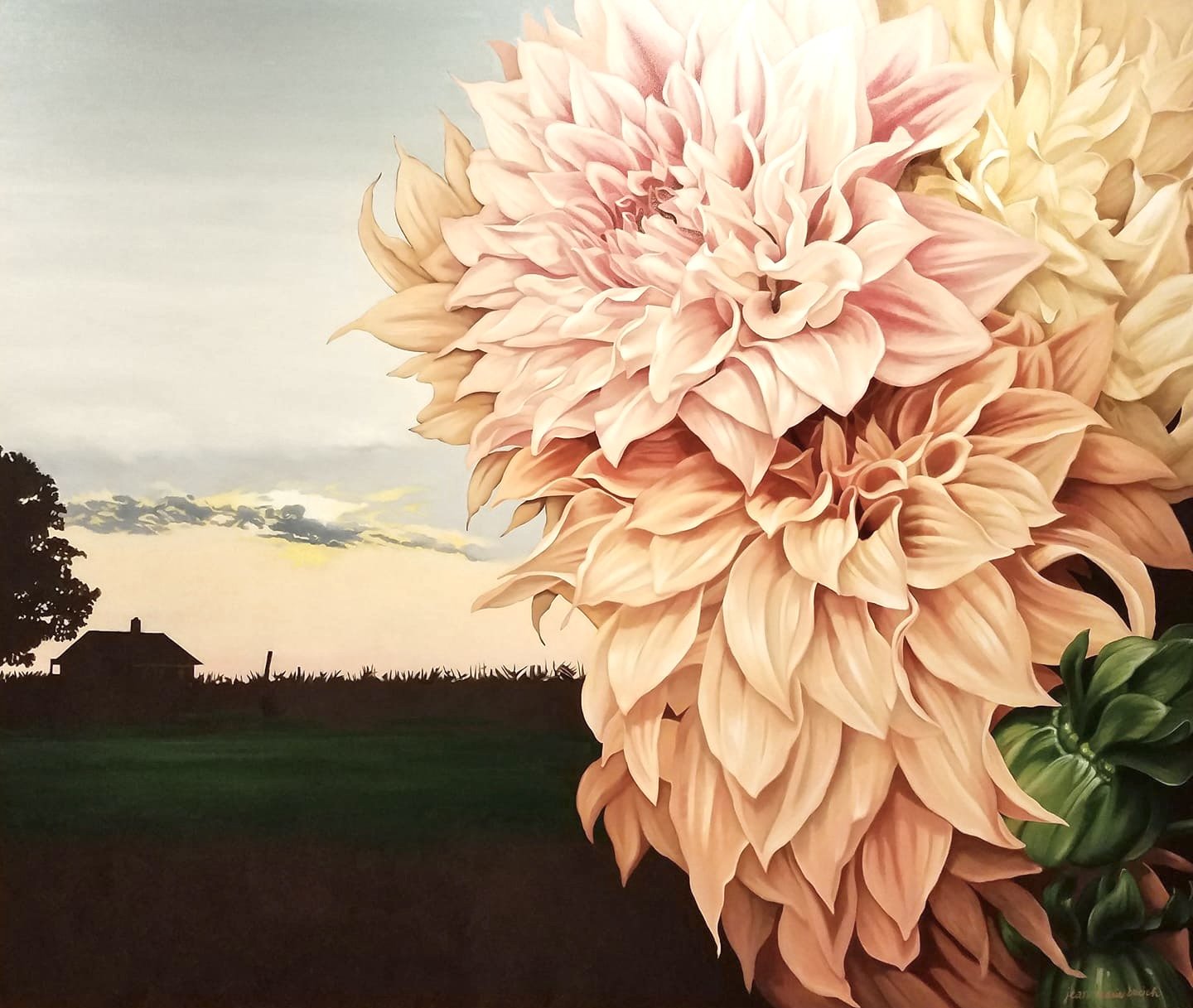 NORTHFORK DAHLIAS 80X68” 12,000