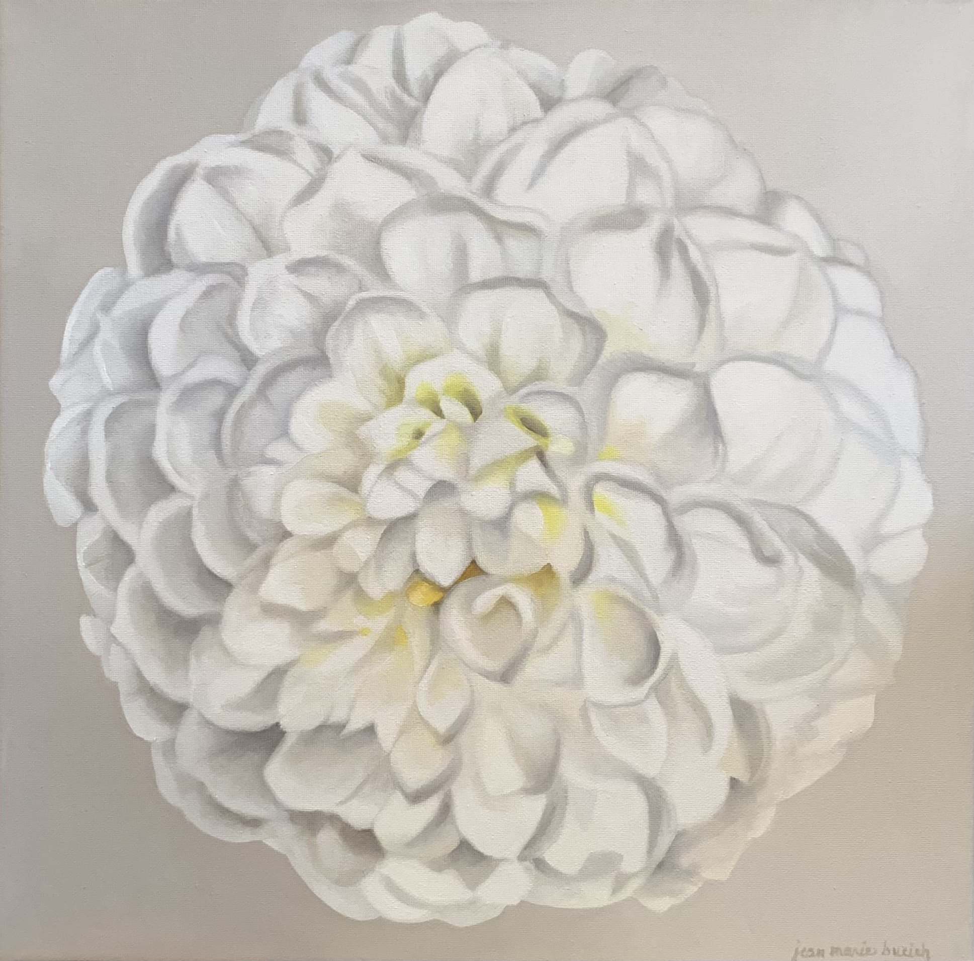 WHITE DAHLIA 16X16” 1800