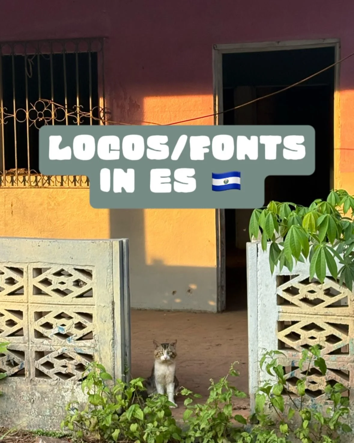 There were many old signs, flyers, and logos tucked away in isolated buildings. It felt awkward stopping to take a photo. Plus we were driving. I tried searching up names I could remember seeing but found no searches on Google. #logos #sightseeing #e