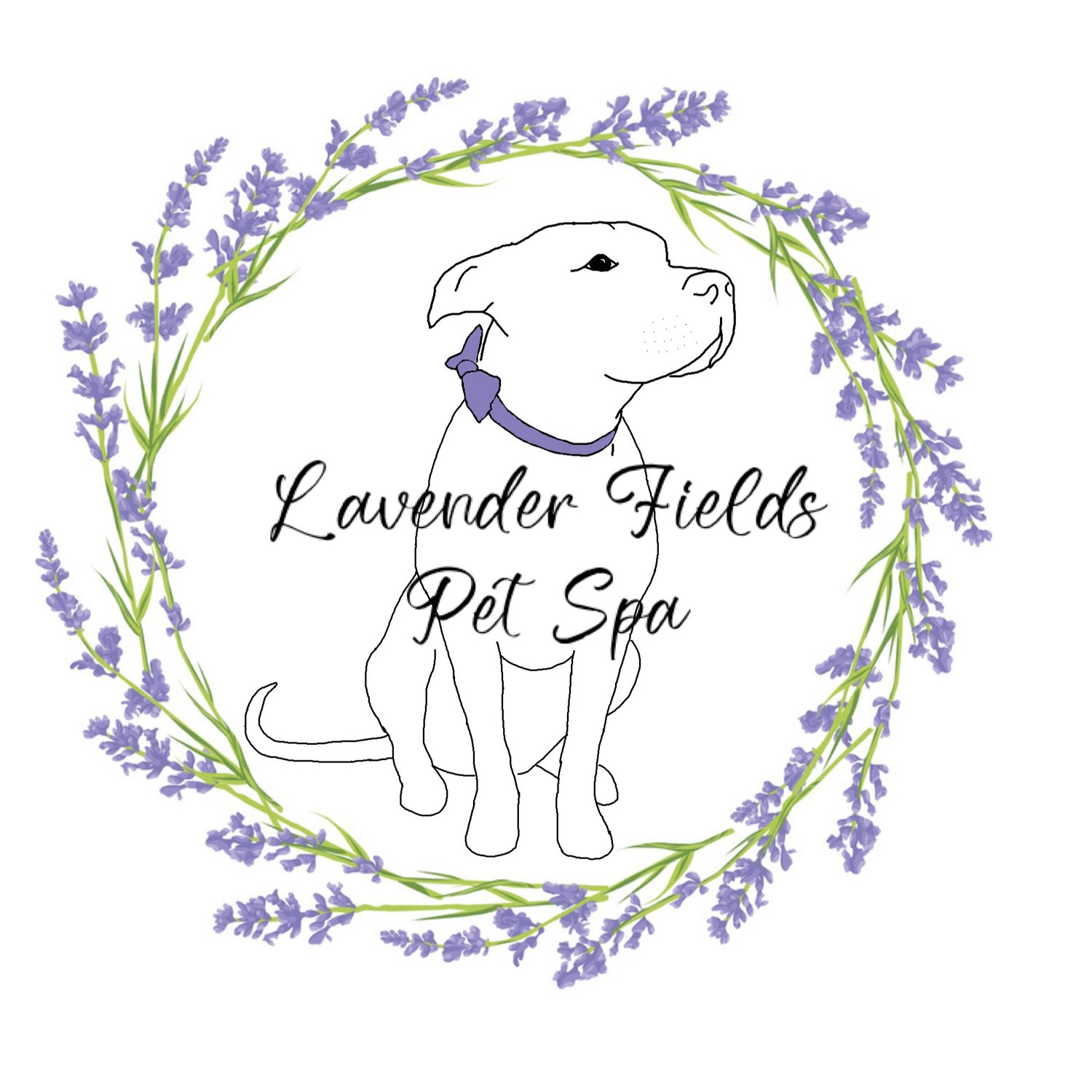 Lavender Fields Pet Spa