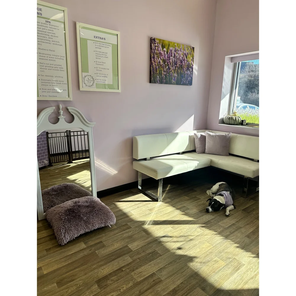 Lavender Fields Pet Spa- Luxury Pet Grooming Wilkes-Barre - Luxury Pet Grooming And Spa Services