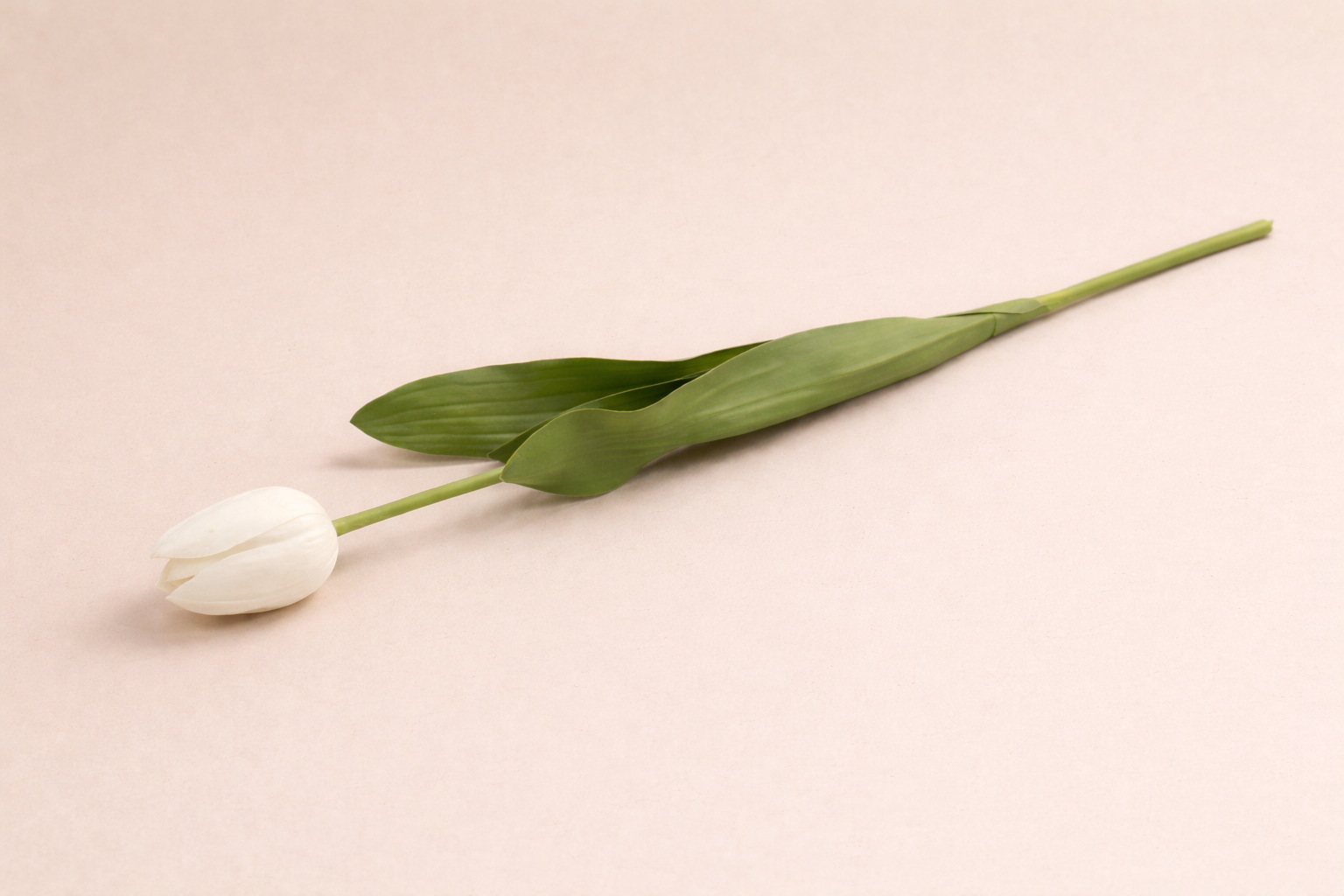 Forever in Bloom, White Faux Tulip Stem 26" with a green Stem