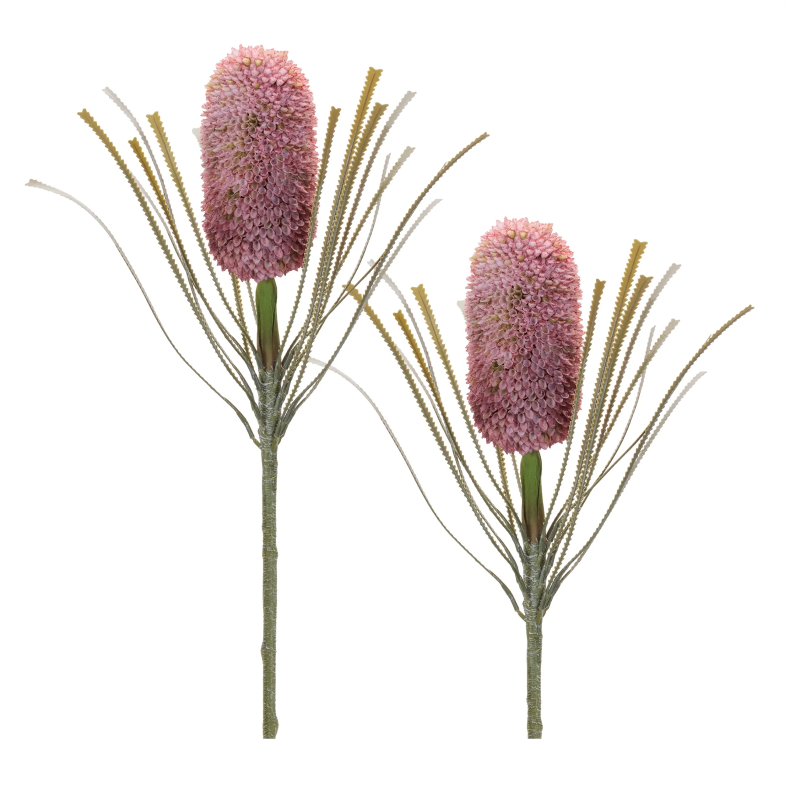 protea-floral-stem-set-of-2-product-image.jpg