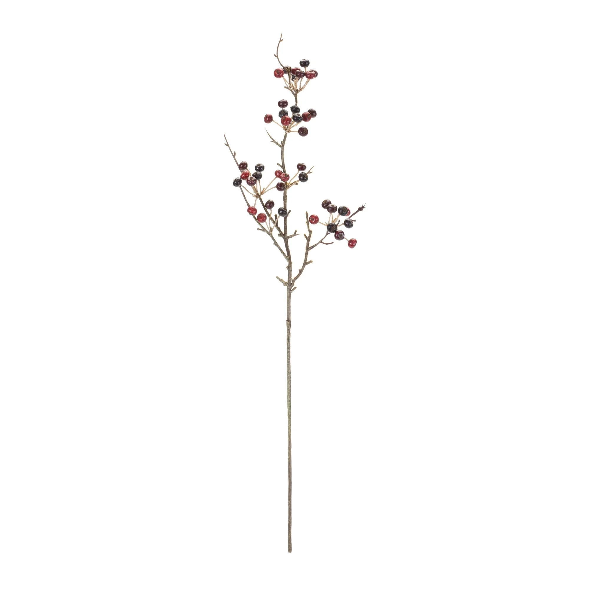 86930__1.jpg