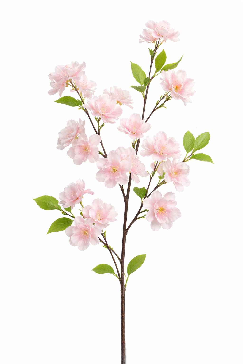 single-soft-pink-apple-blossom-floral-branch.png