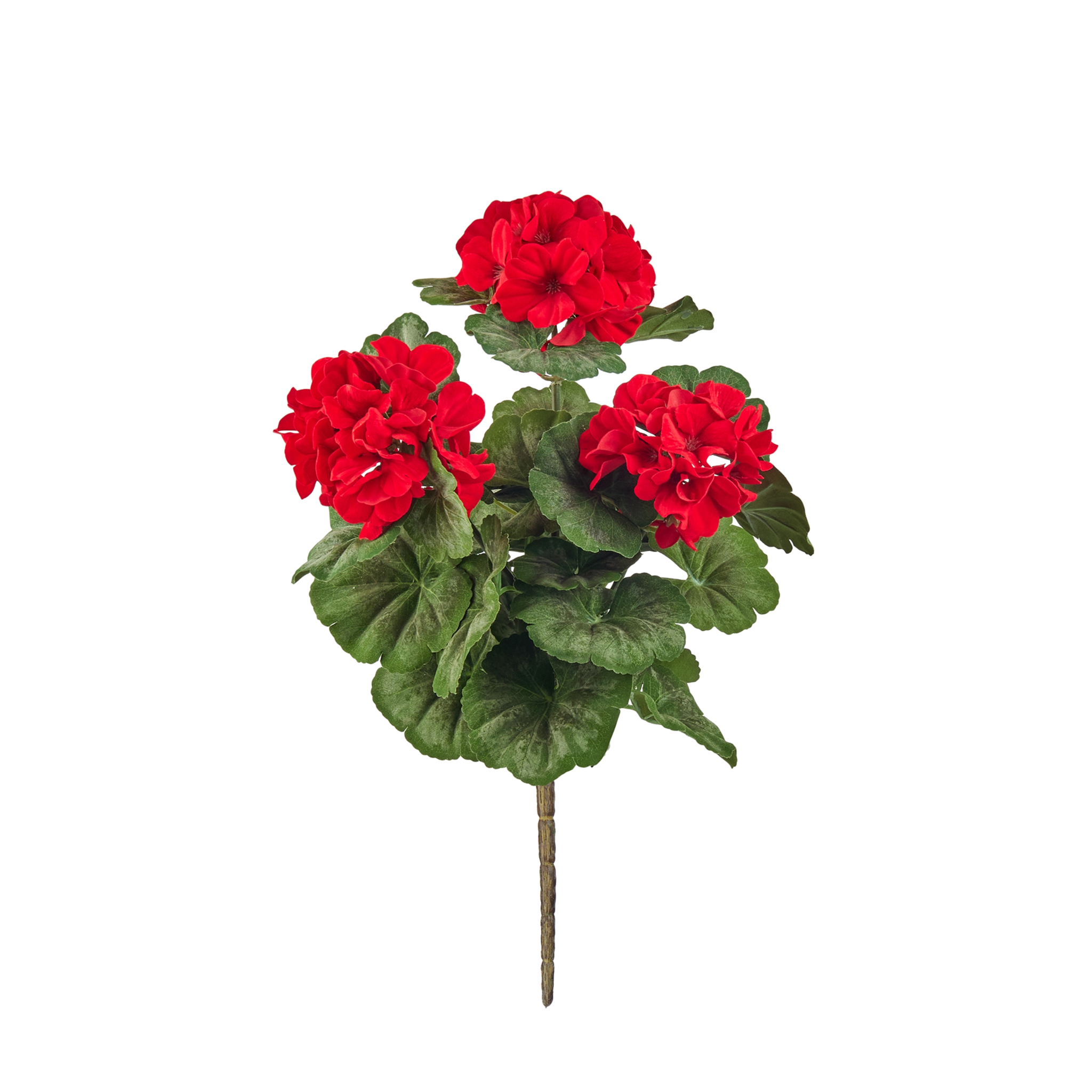 Red Geranium Floal Bush.png