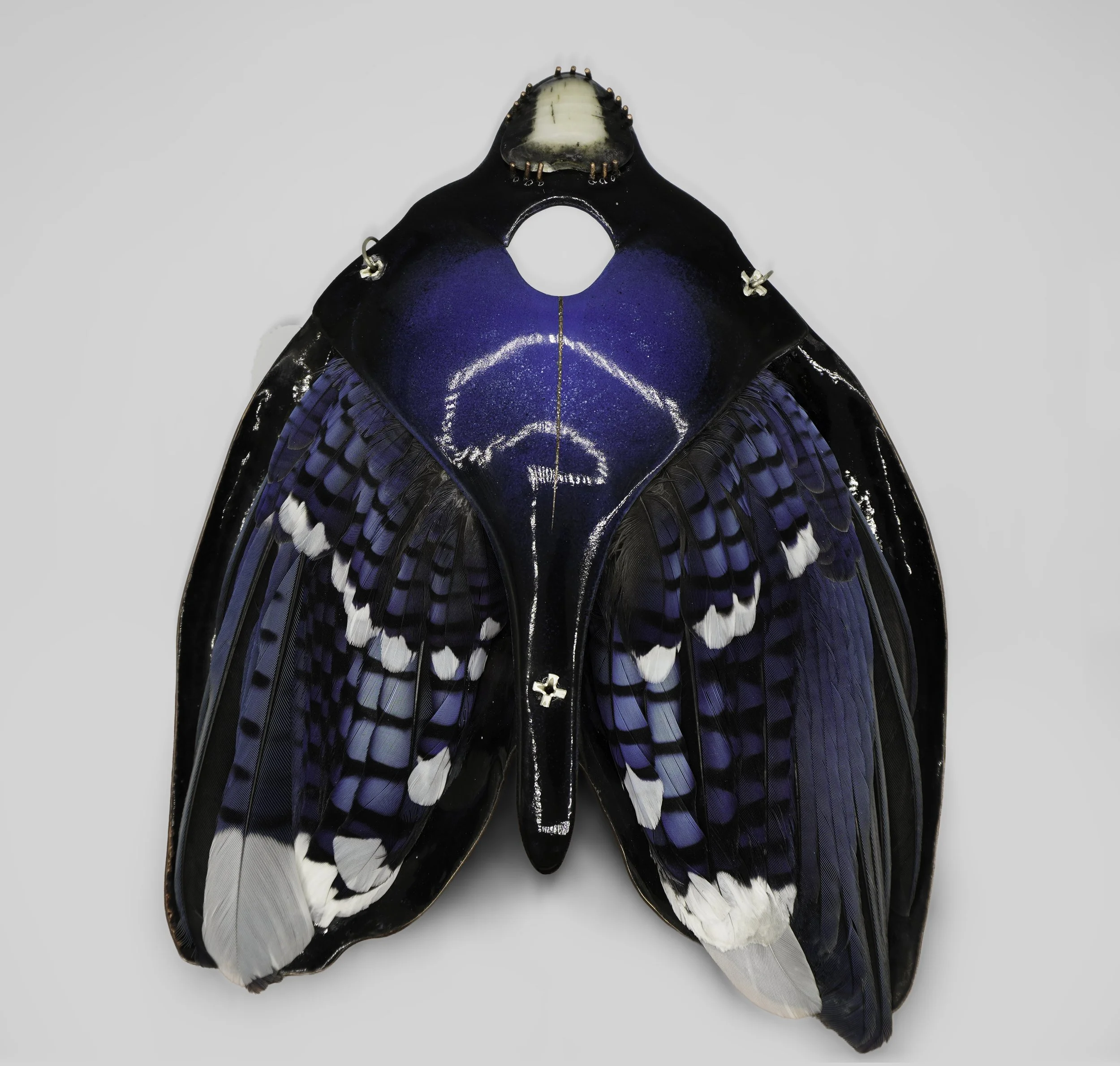 Memento, 2021, Found blue jay feathers & stone, copper, vitreous enamel, silver