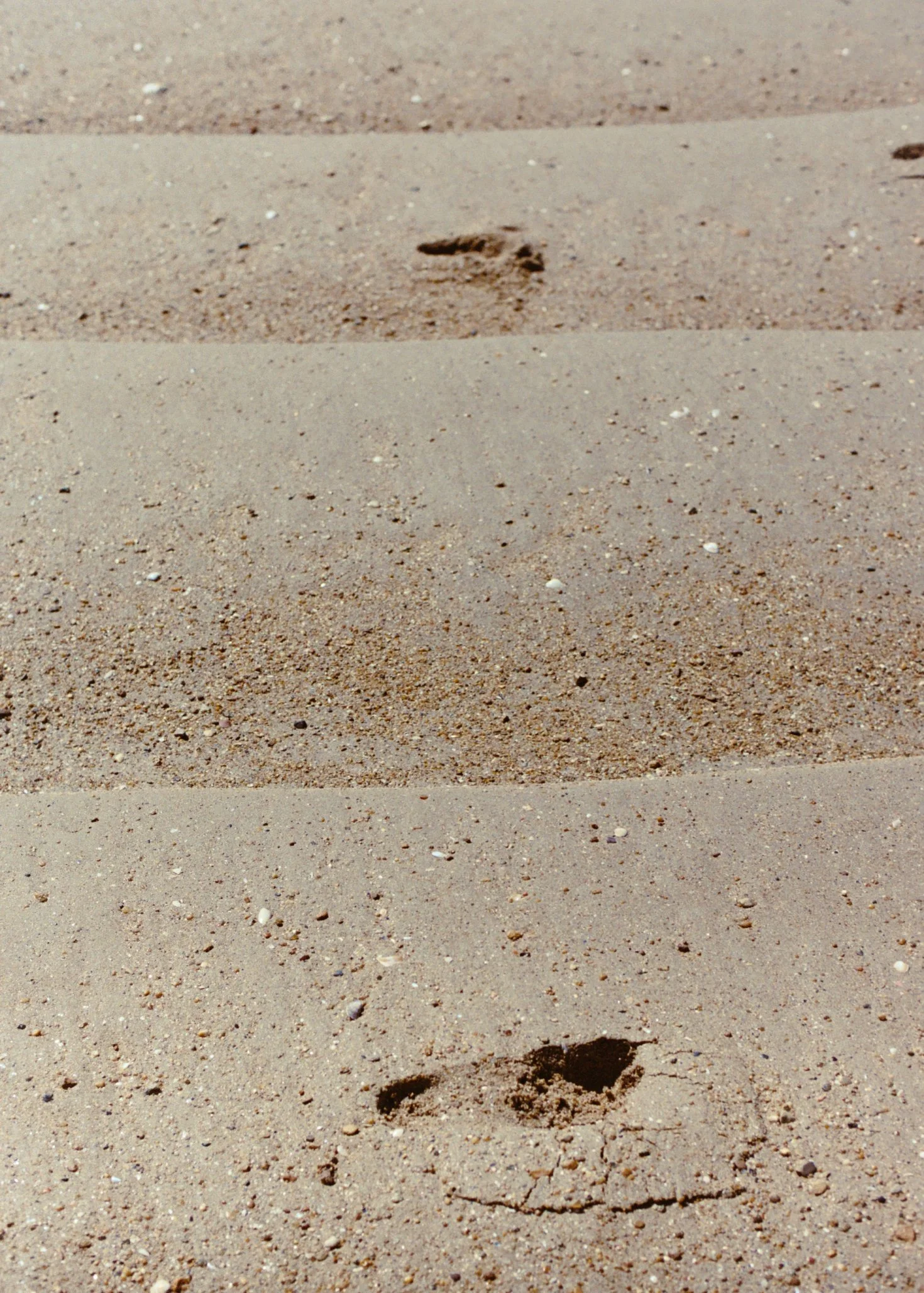 NOIRMOUTIER:2025_11.jpg