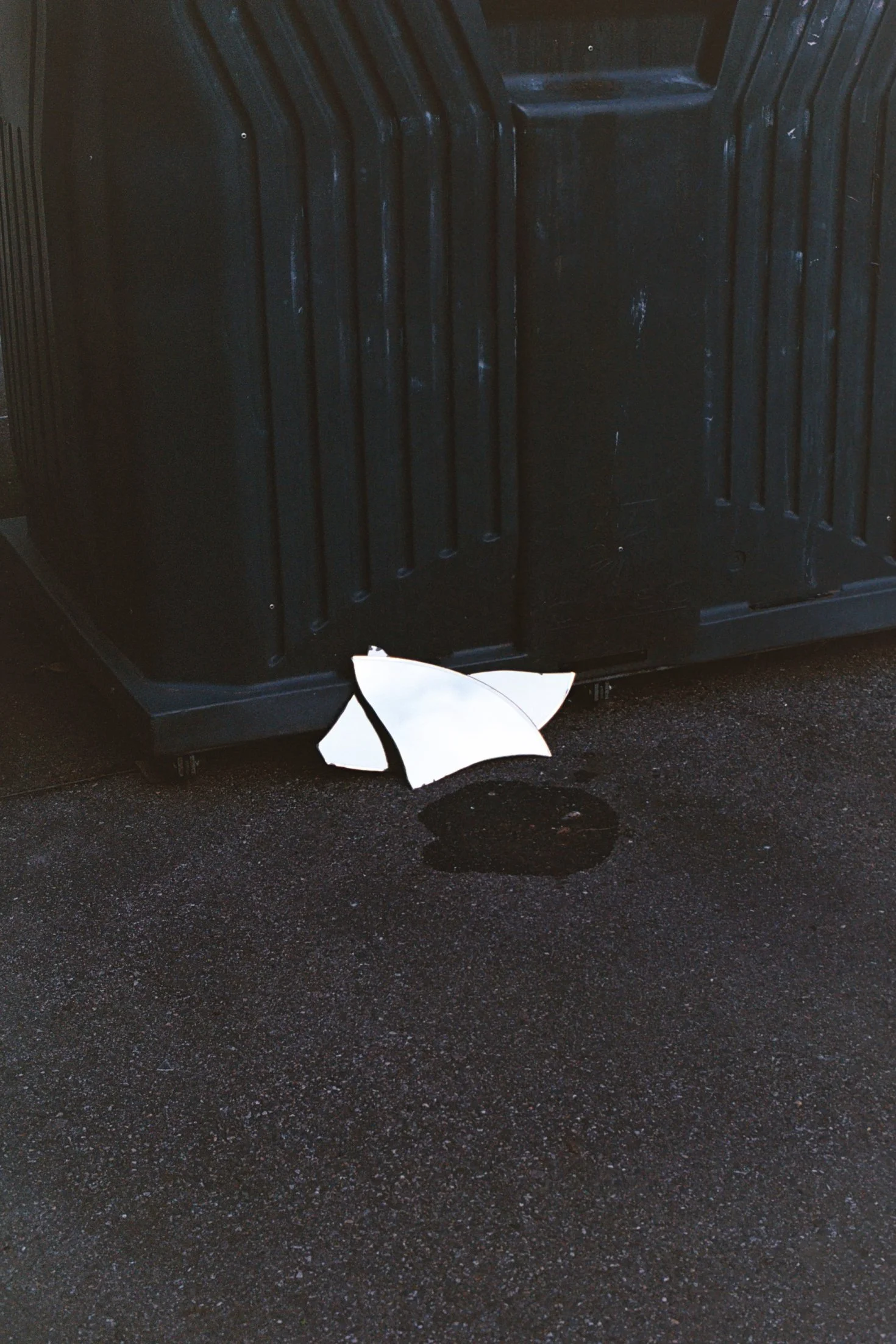 21:TOULOUSE:MONSTRES3.jpg