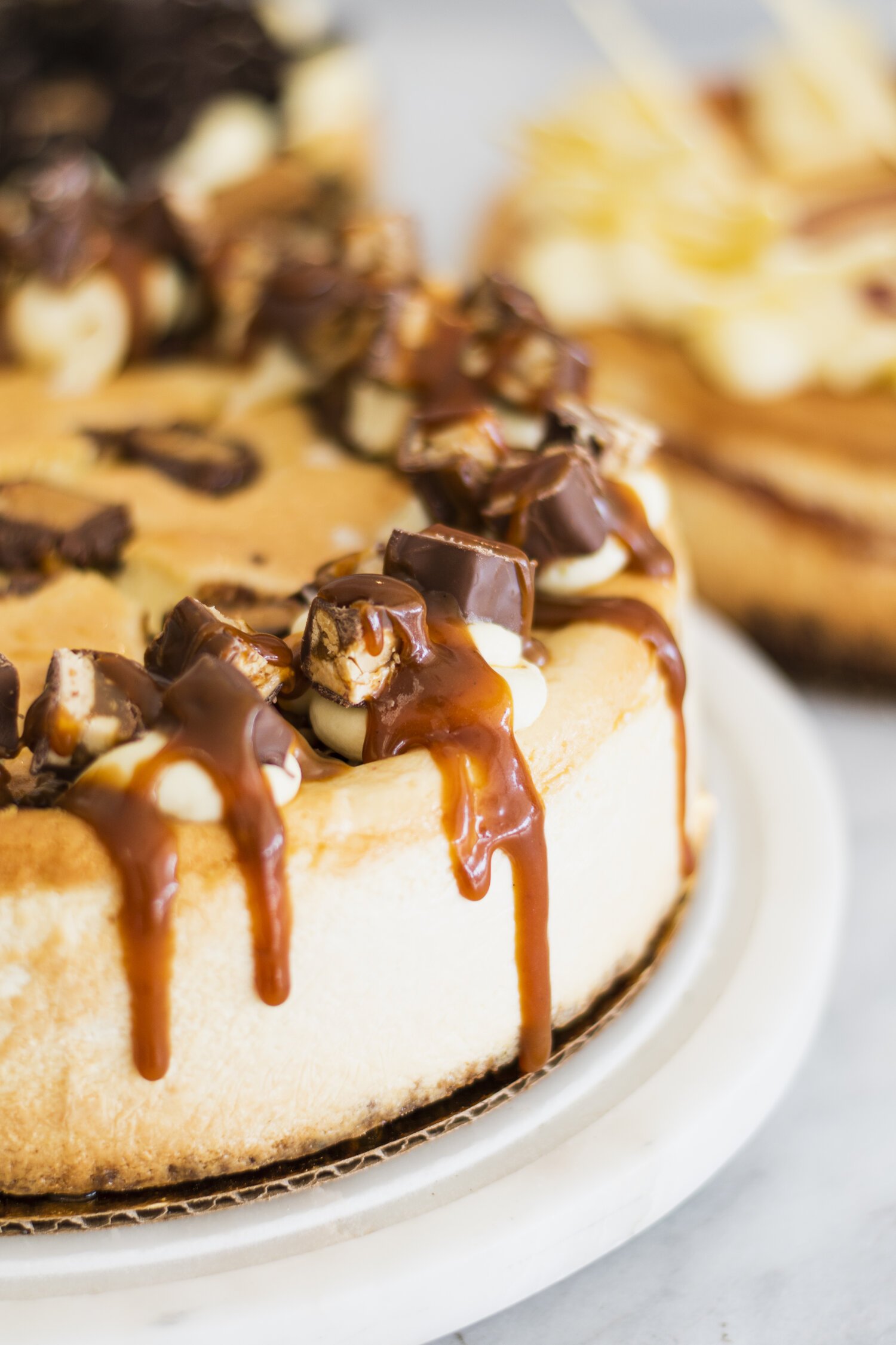 snickers+cheesecake+side+view.jpg