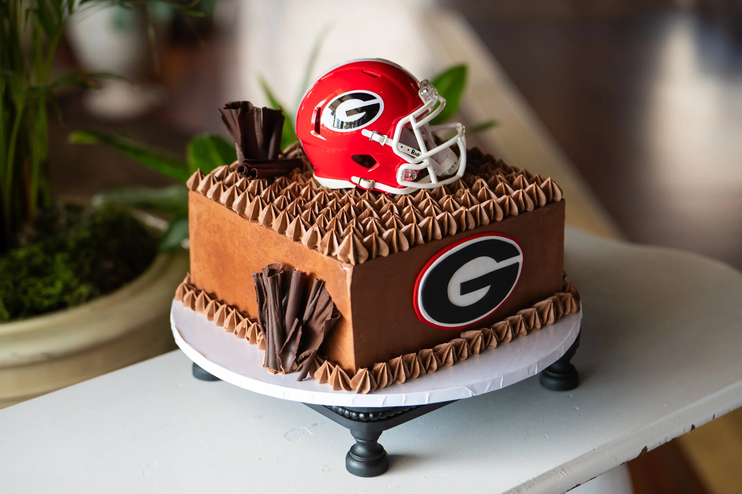 Georgia Grooms Cake.jpg