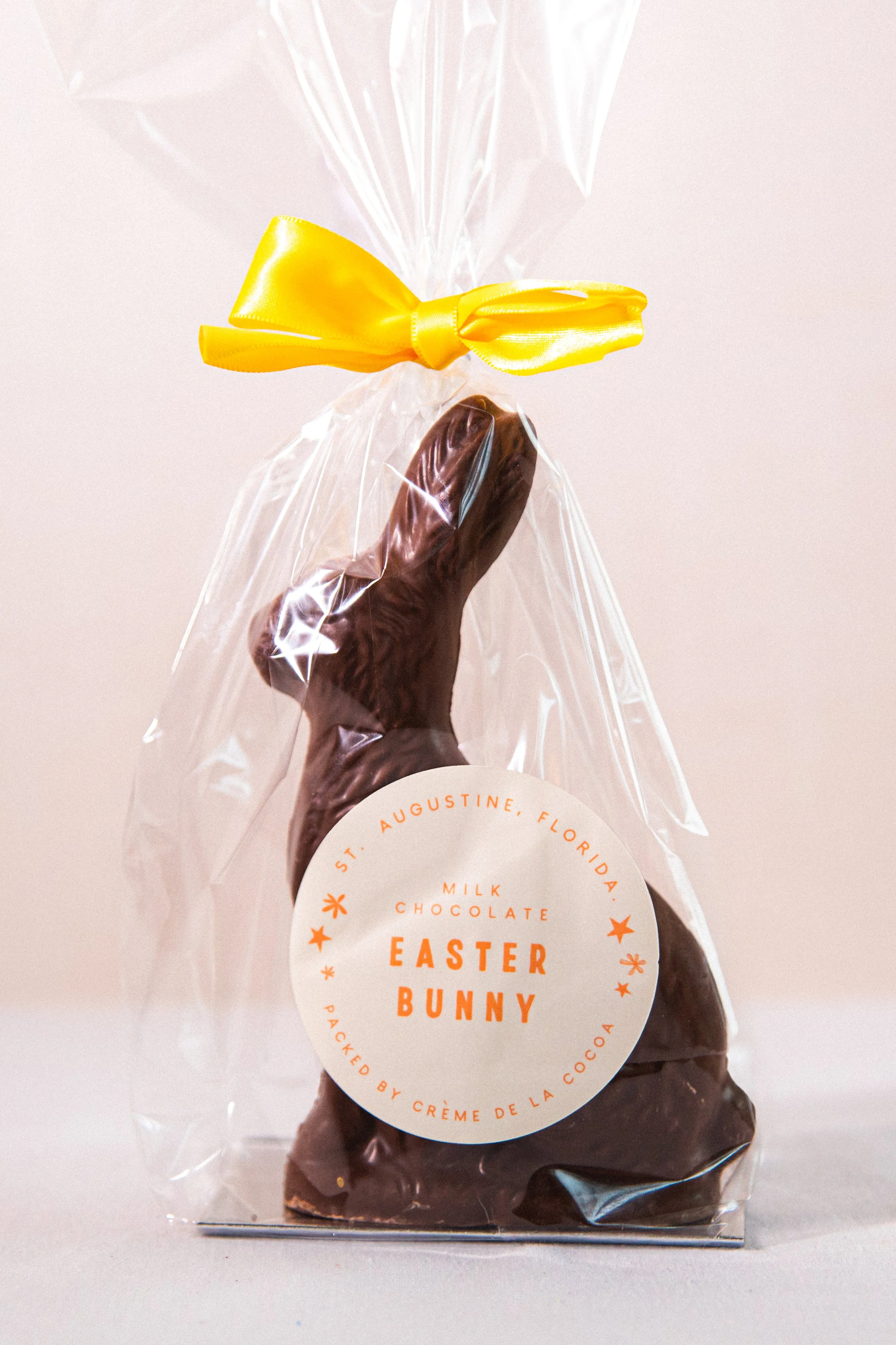 Chocolate Bunny.jpg
